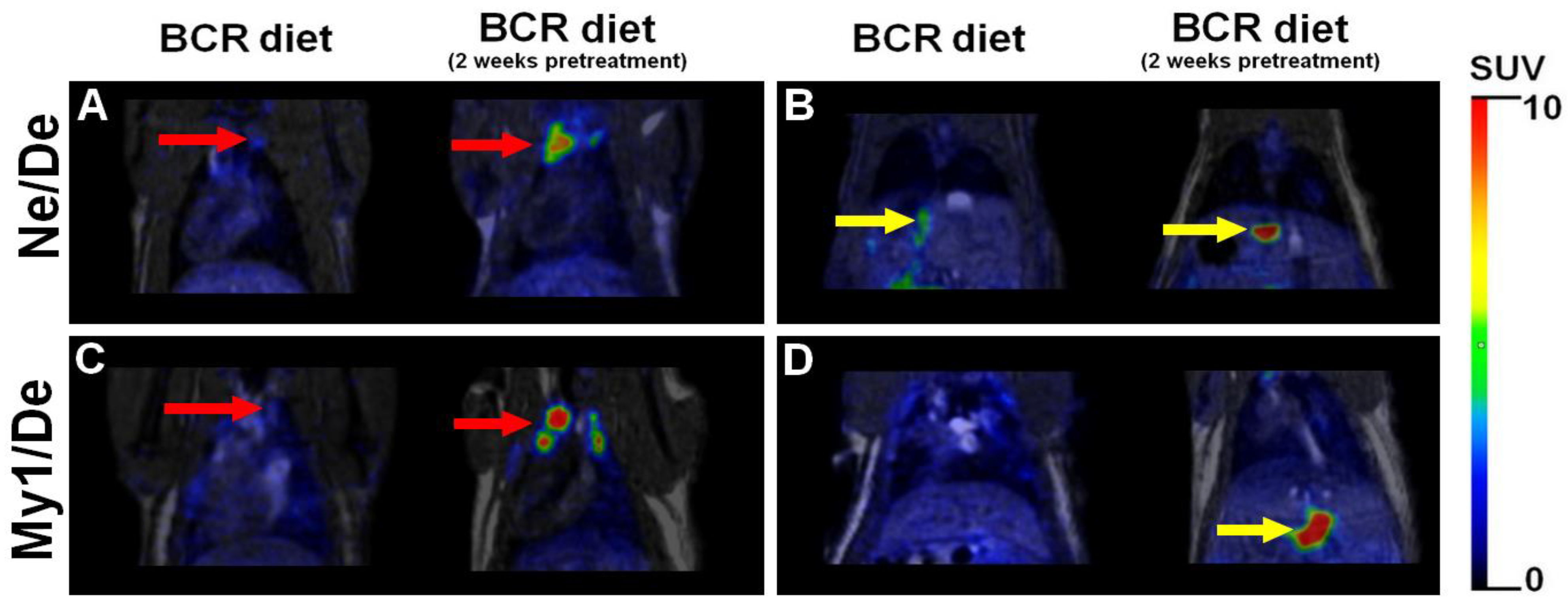 Ijms 23 13060 g006 Ijms 23 13060 g006