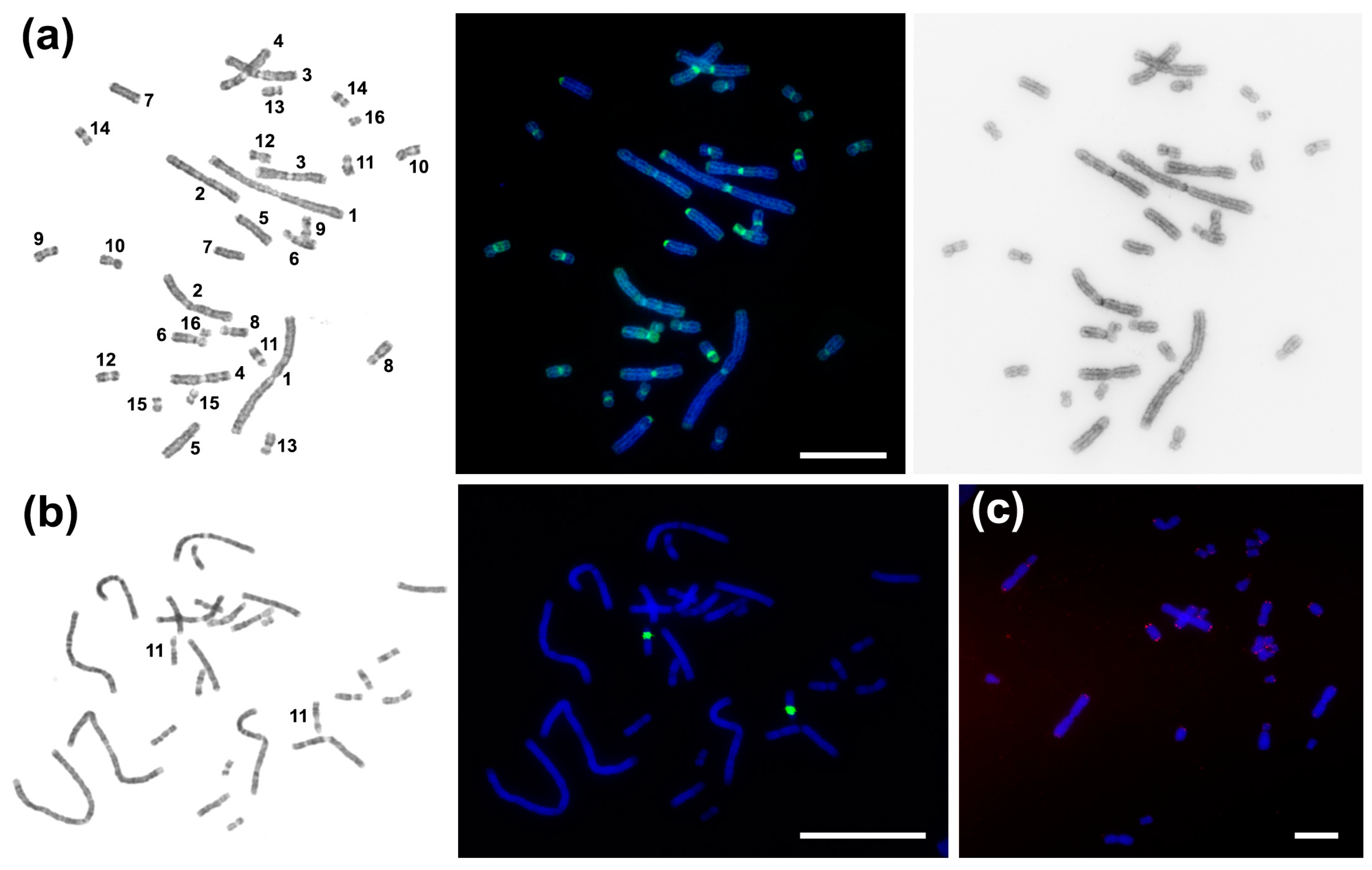 Ijms 23 13063 g002 Ijms 23 13063 g002