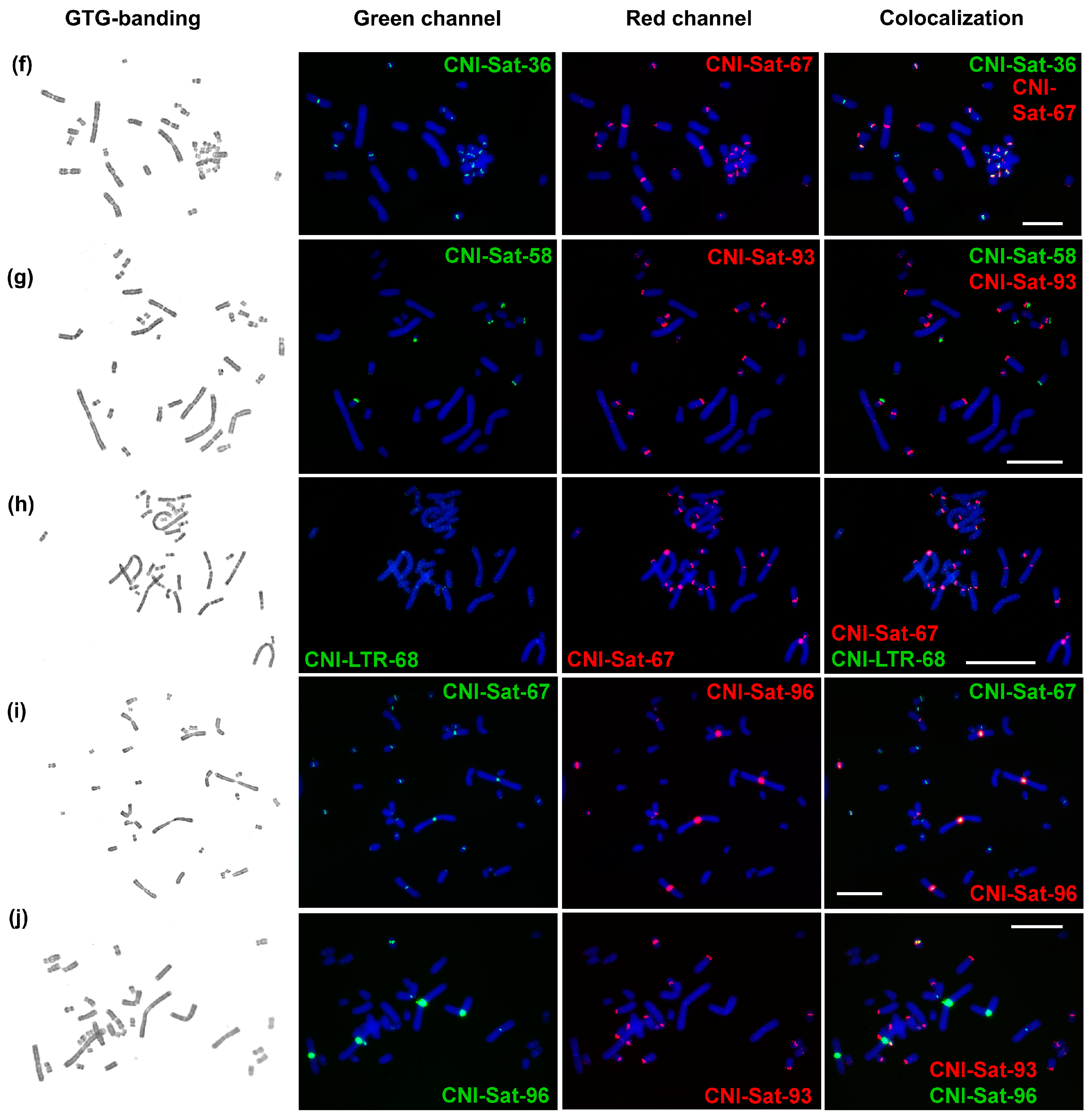 Ijms 23 13063 g003b Ijms 23 13063 g003b