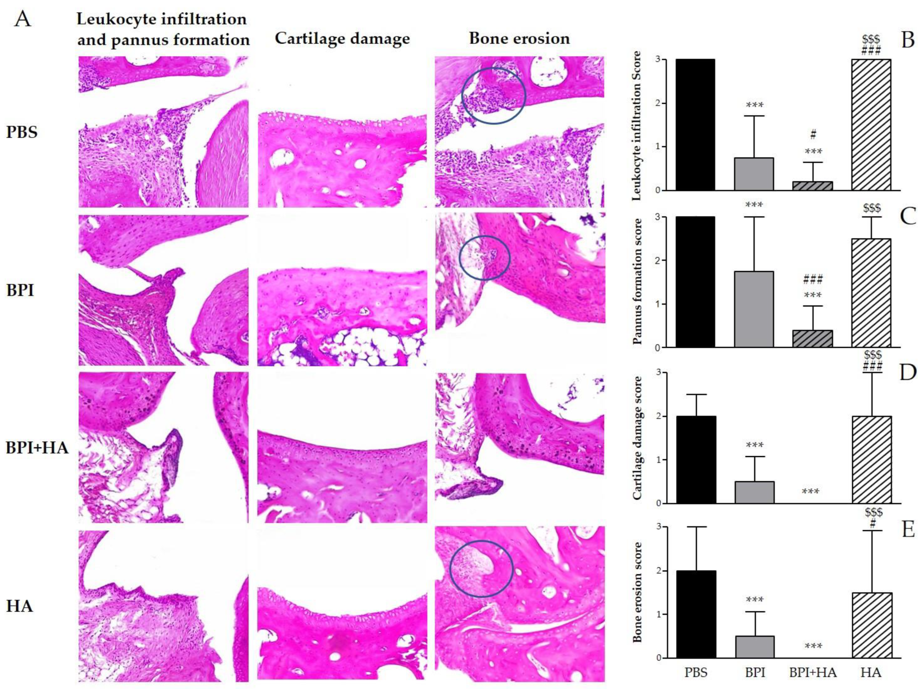 Ijms 23 13066 g002 Ijms 23 13066 g002
