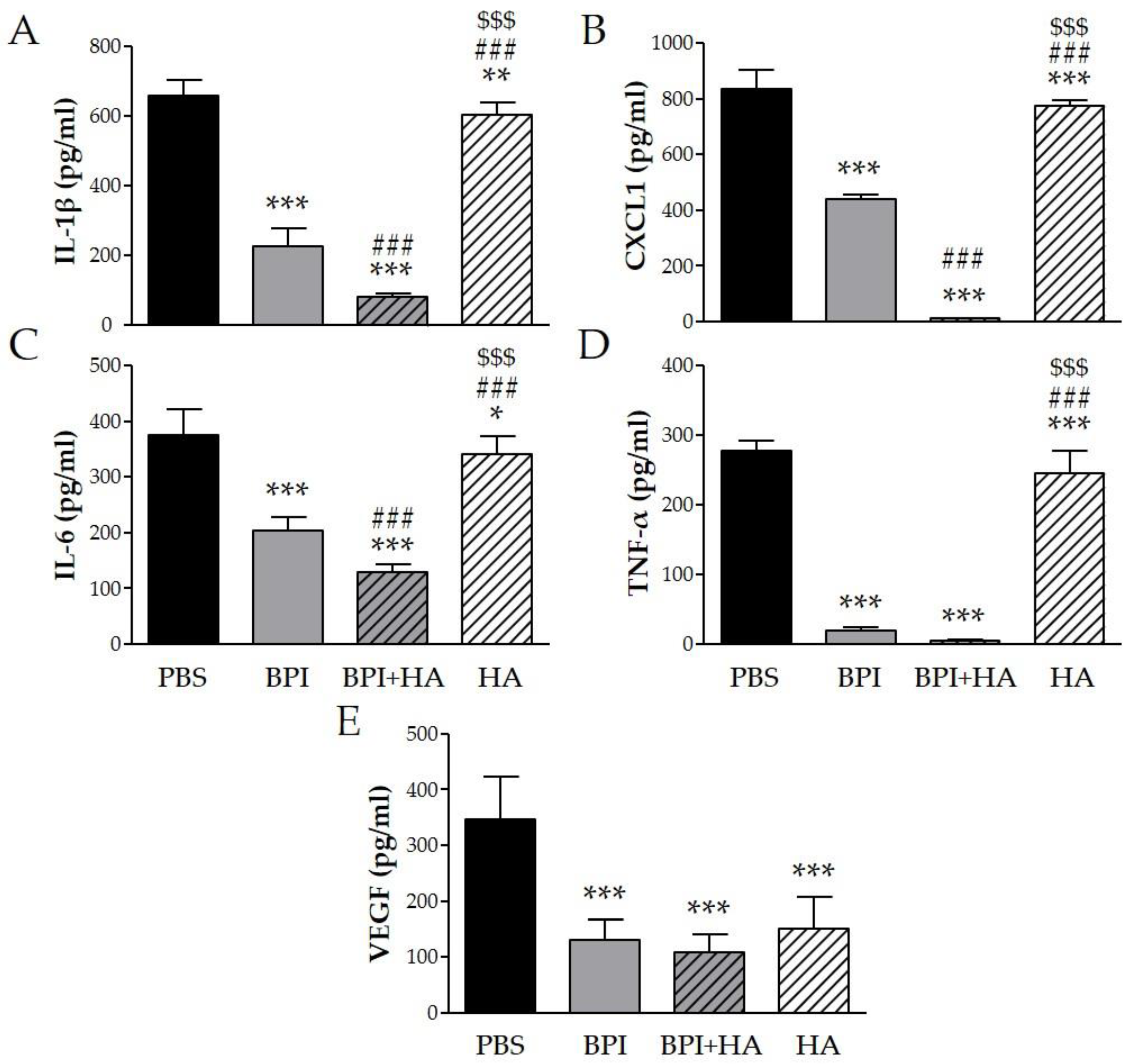 Ijms 23 13066 g003 Ijms 23 13066 g003