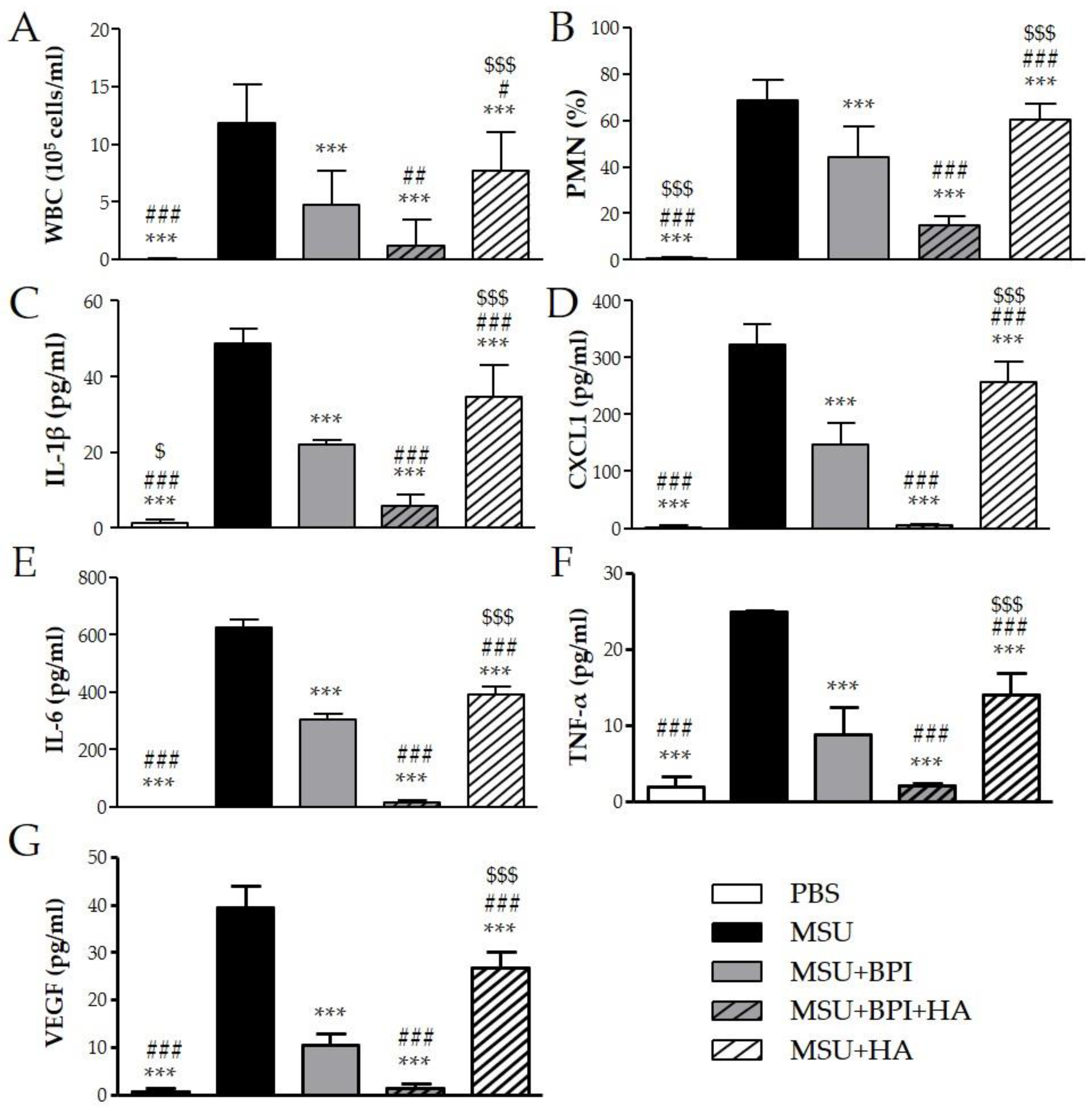 Ijms 23 13066 g004 Ijms 23 13066 g004
