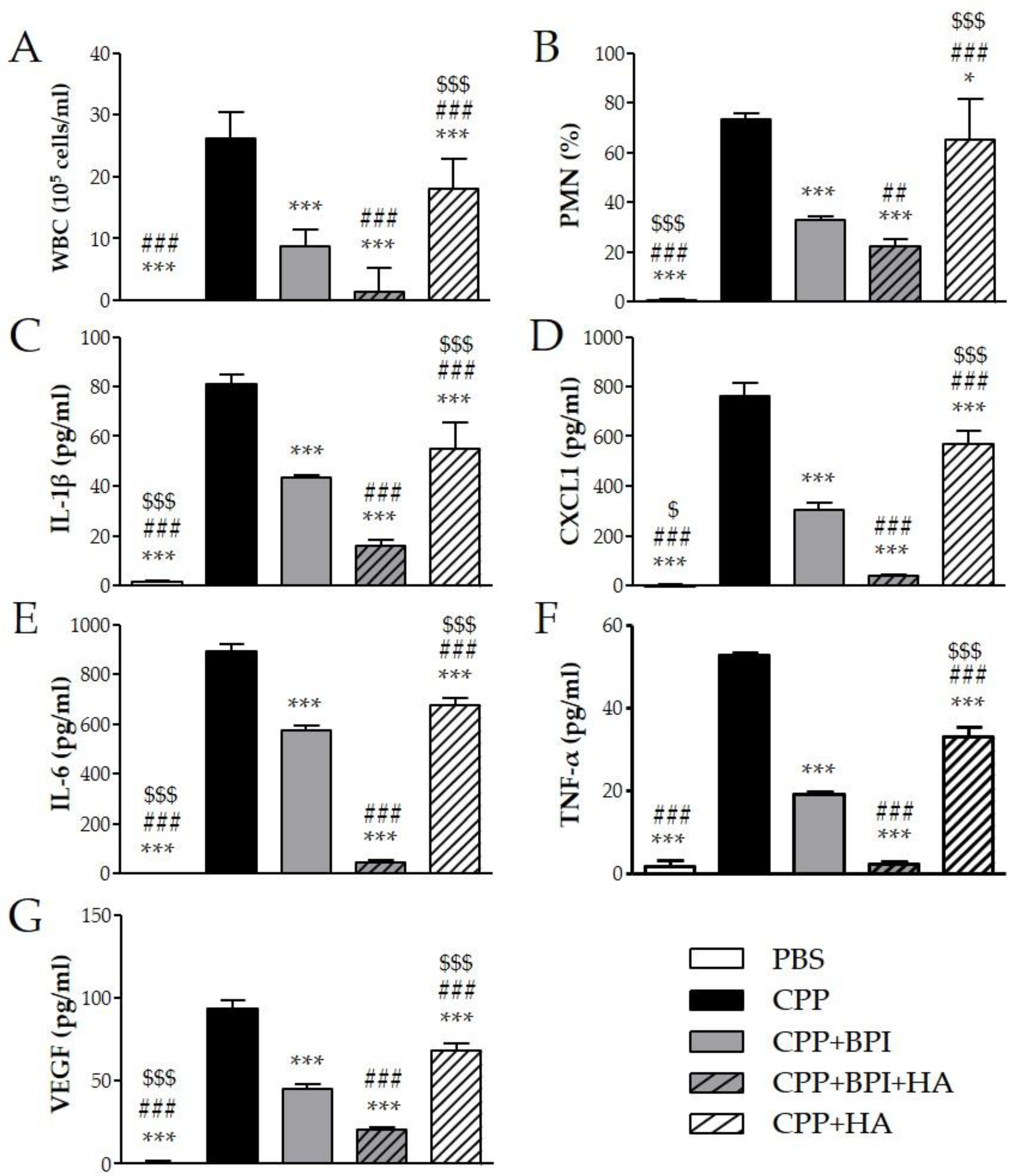 Ijms 23 13066 g005 Ijms 23 13066 g005