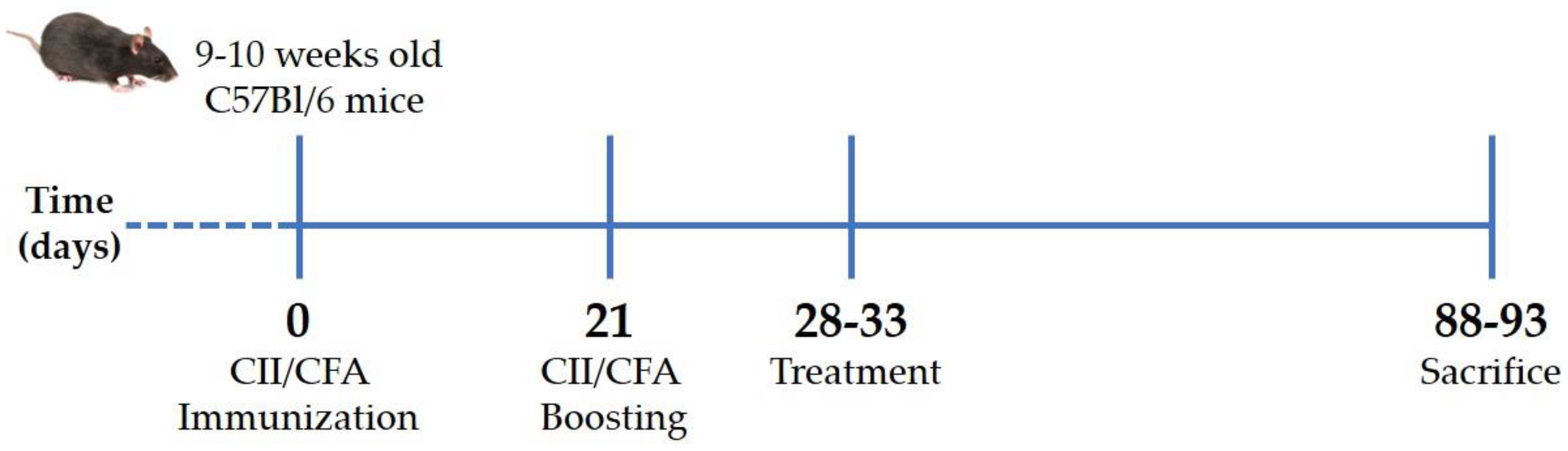 Ijms 23 13066 g006 Ijms 23 13066 g006