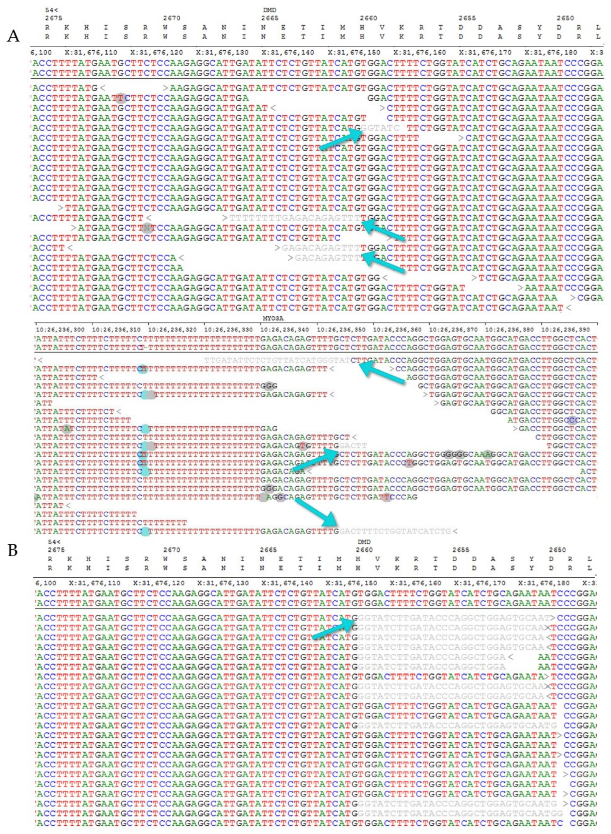 Ijms 23 13076 g004 Ijms 23 13076 g004