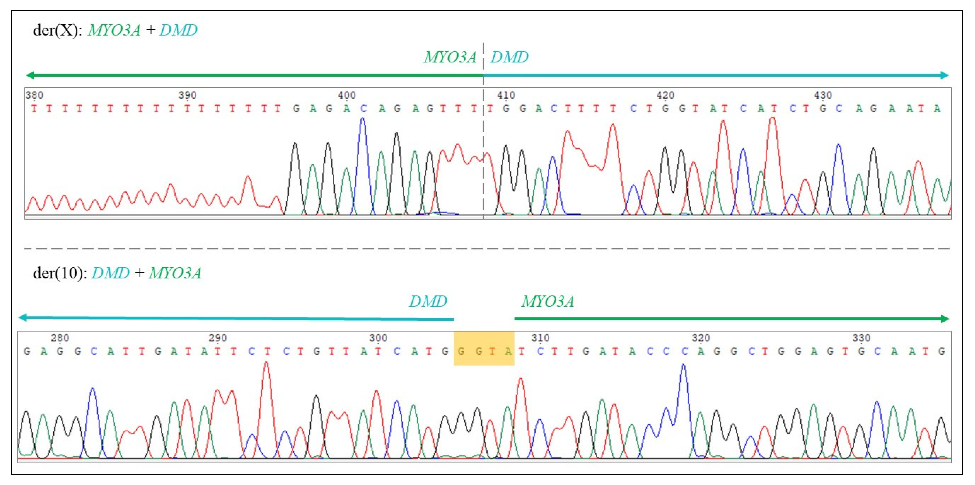 Ijms 23 13076 g005 Ijms 23 13076 g005