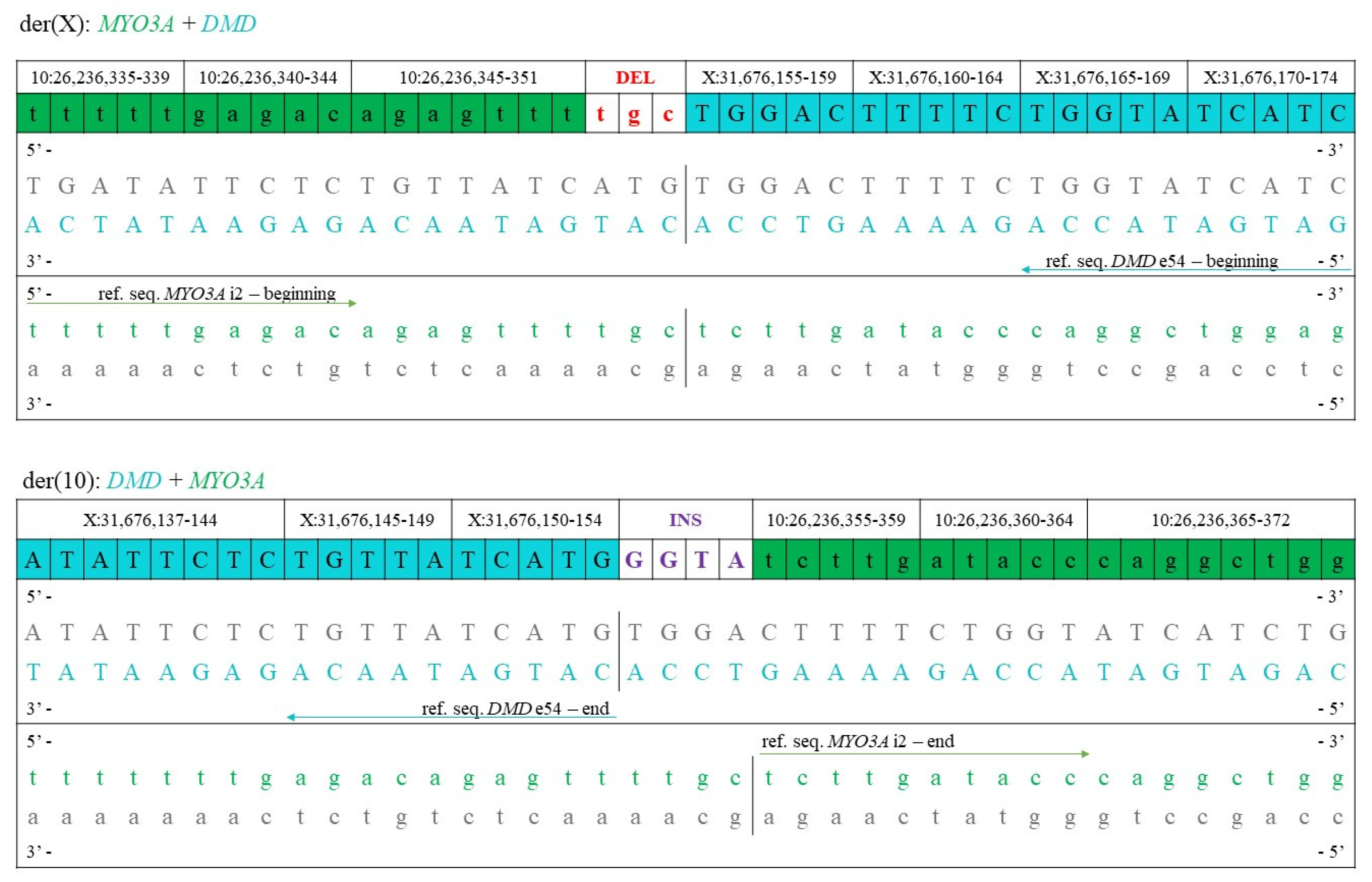 Ijms 23 13076 g006 Ijms 23 13076 g006