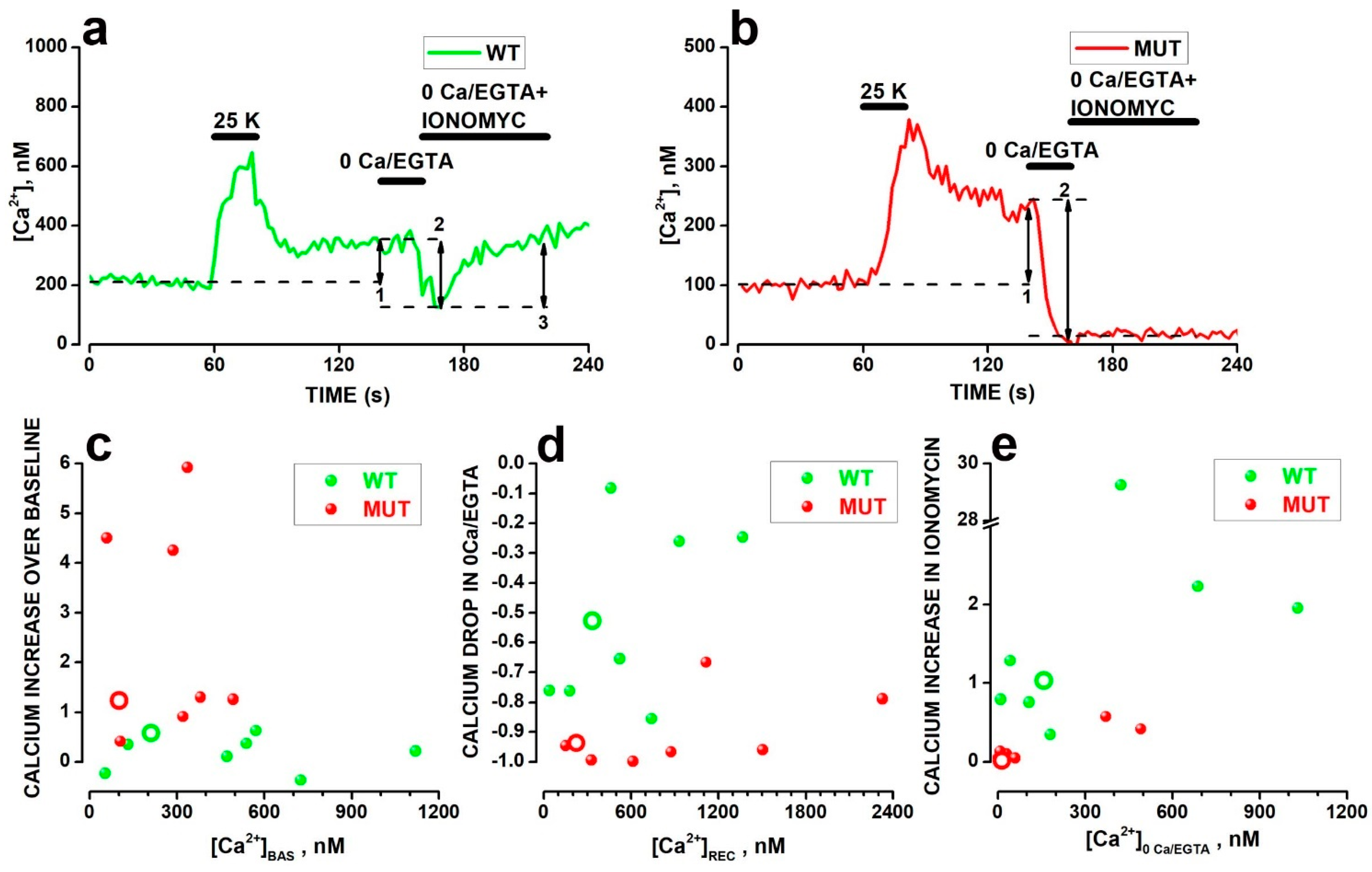 Ijms 23 13080 g003 Ijms 23 13080 g003