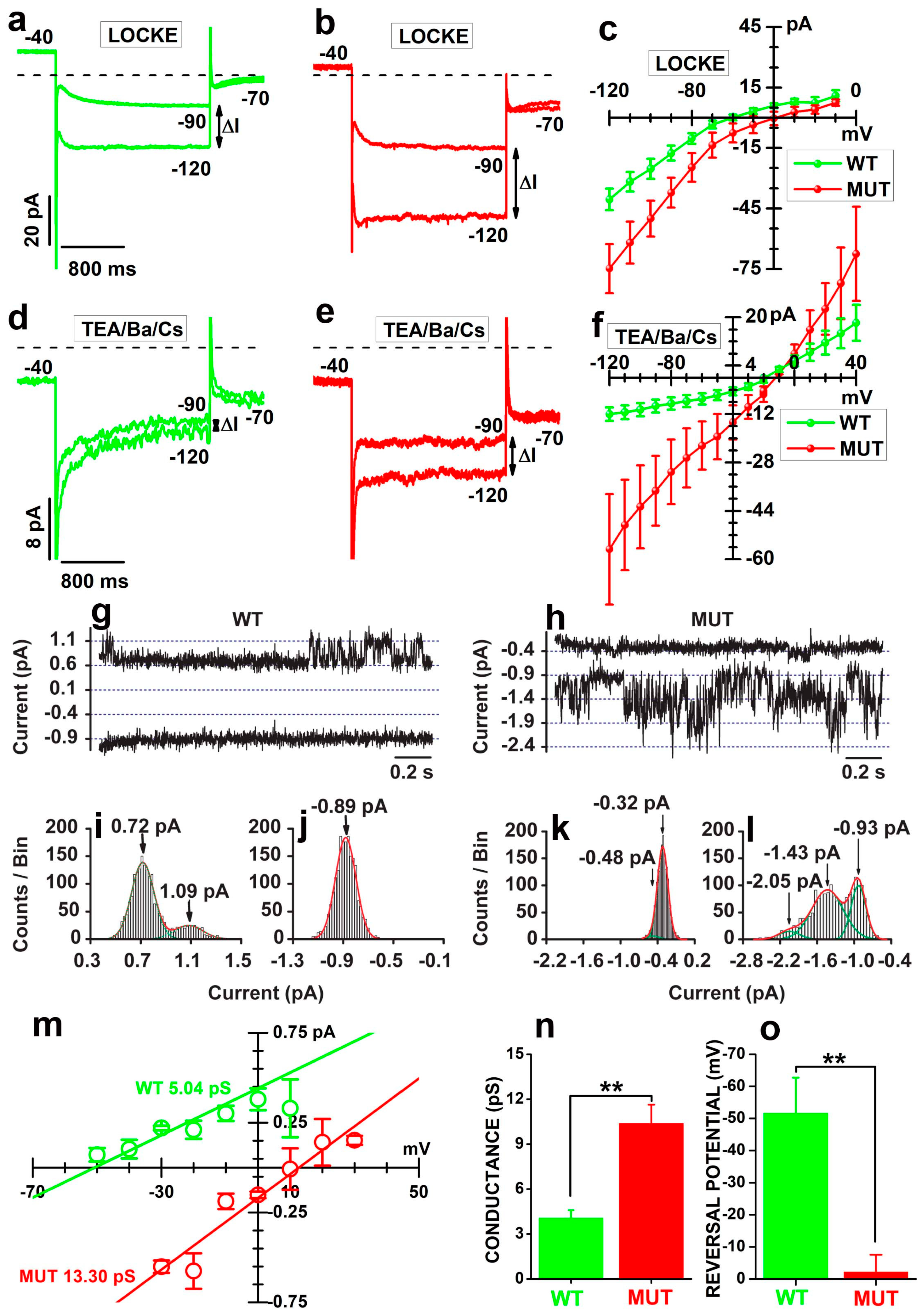 Ijms 23 13080 g005 Ijms 23 13080 g005