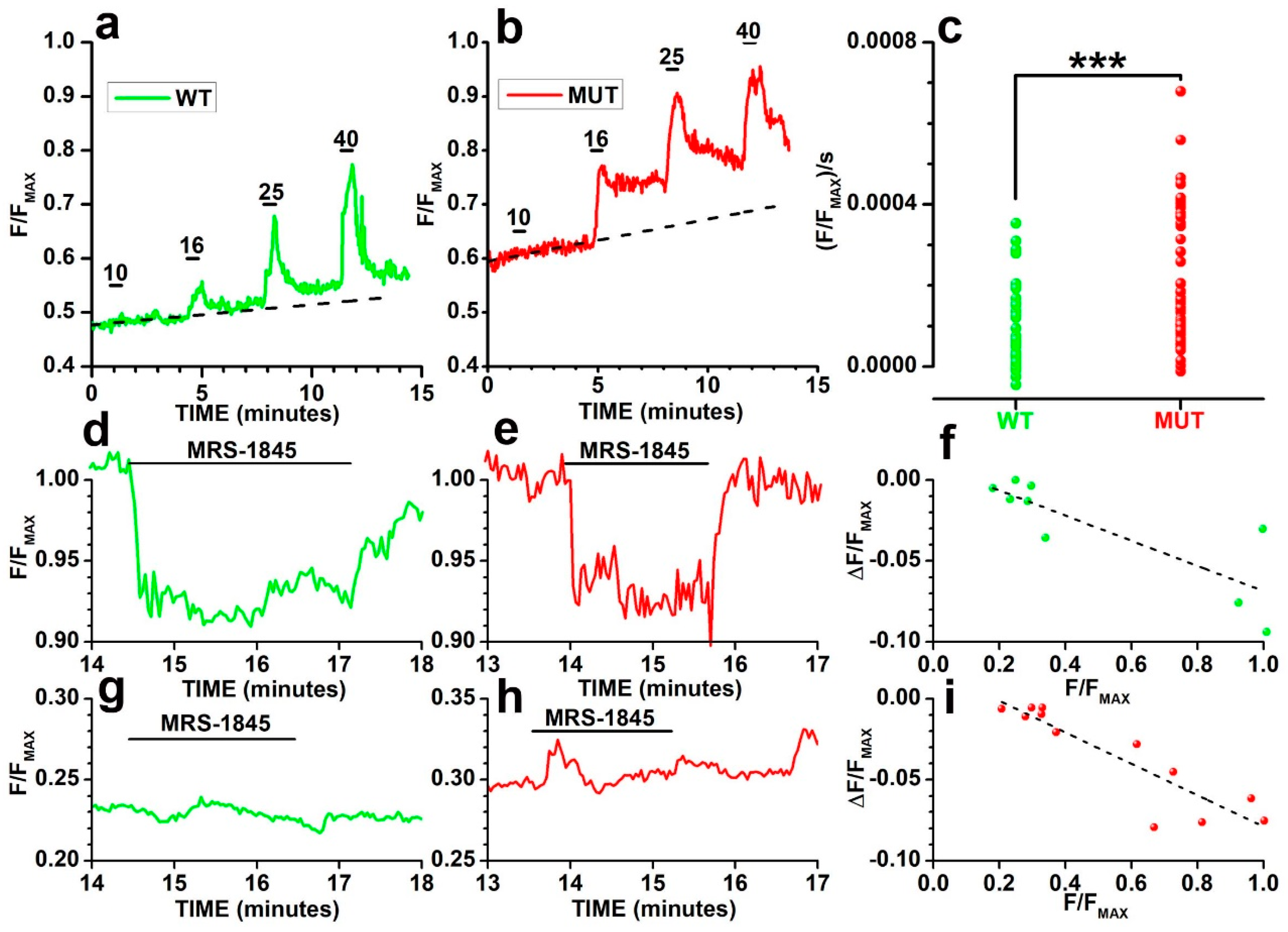 Ijms 23 13080 g006 Ijms 23 13080 g006