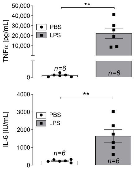 IJMS | Free Full-Text | Systemic Lipopolysaccharide Challenge Induces  Inflammatory Changes in Rat Dorsal Root Ganglia: An Ex Vivo Study