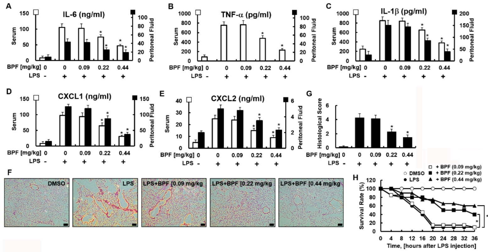 Ijms 23 13130 g005 Ijms 23 13130 g005