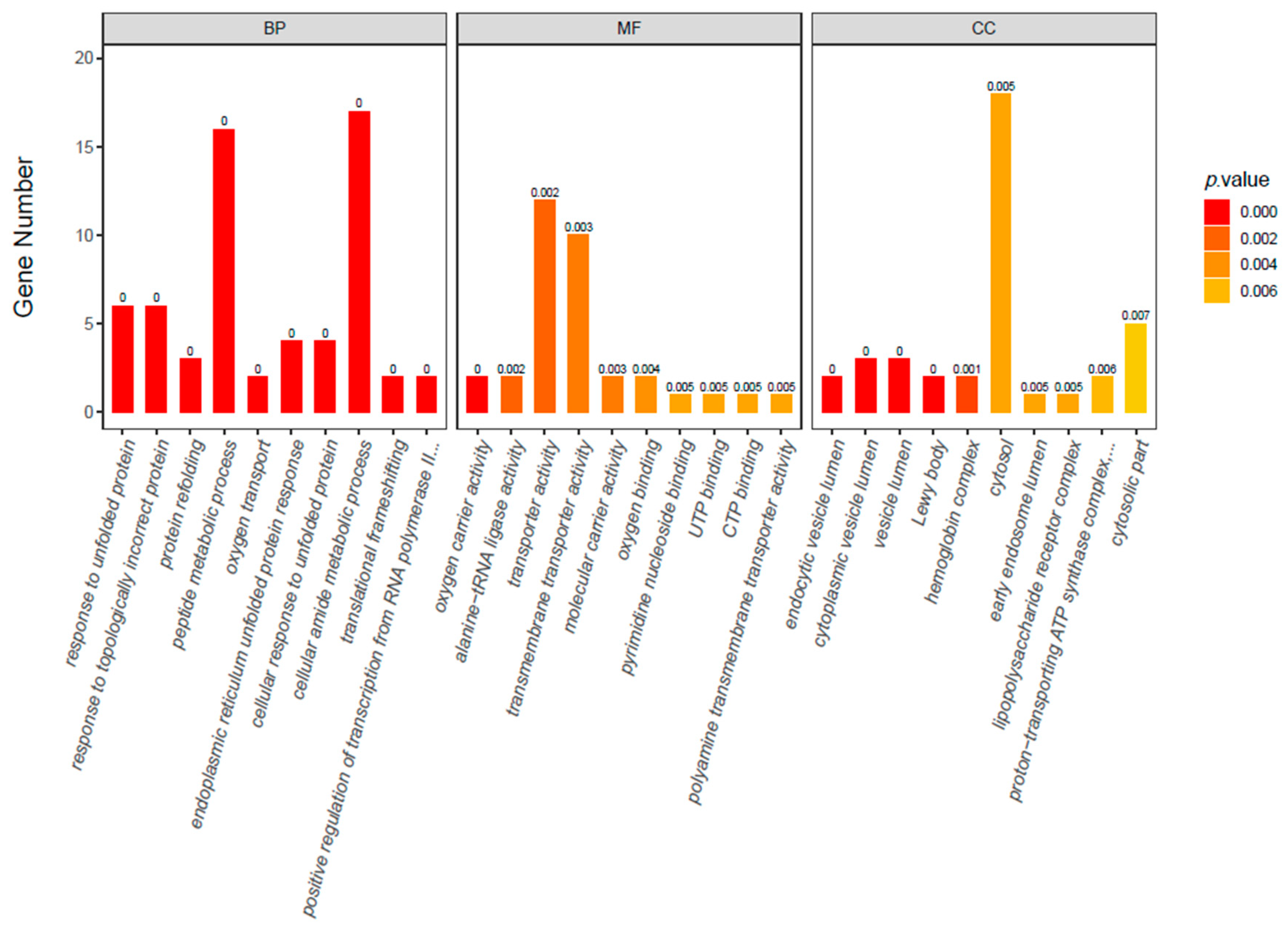 Ijms 23 13132 g007 Ijms 23 13132 g007