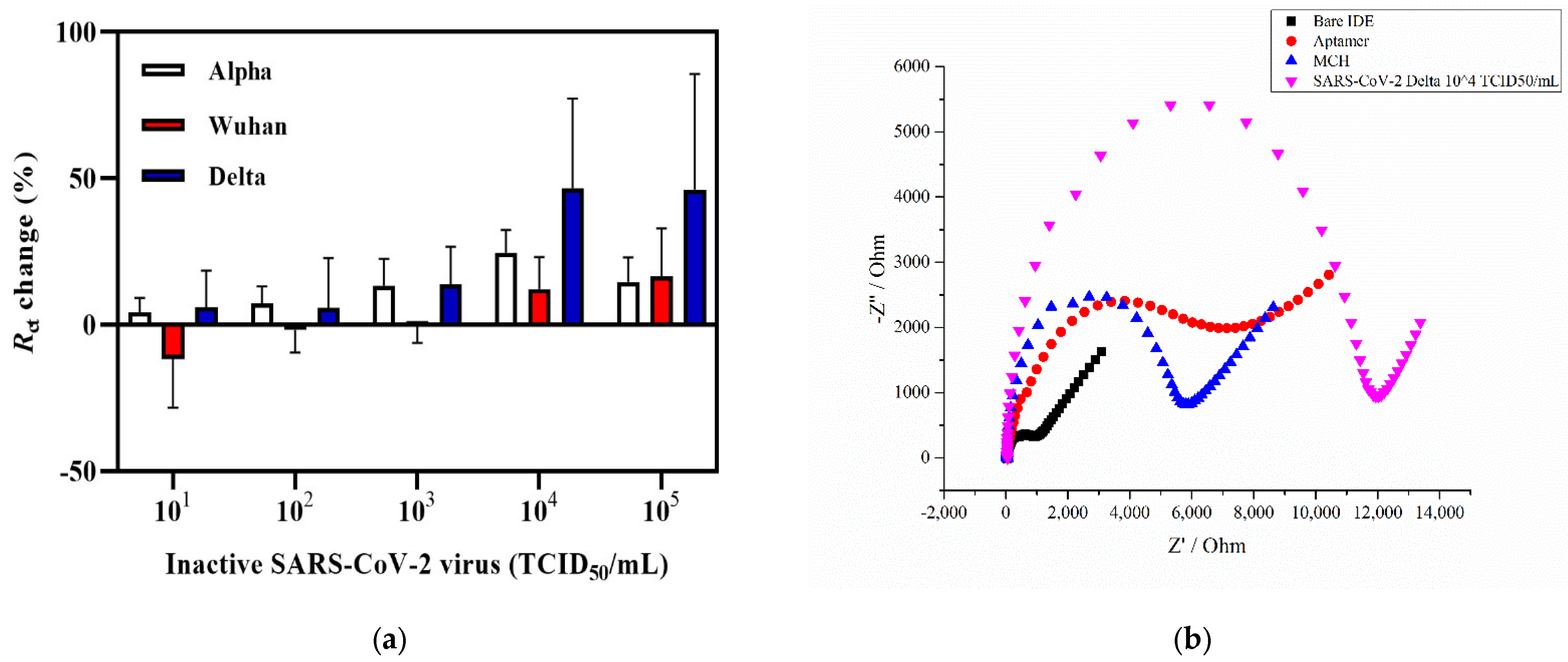 Ijms 23 13138 g003 Ijms 23 13138 g003