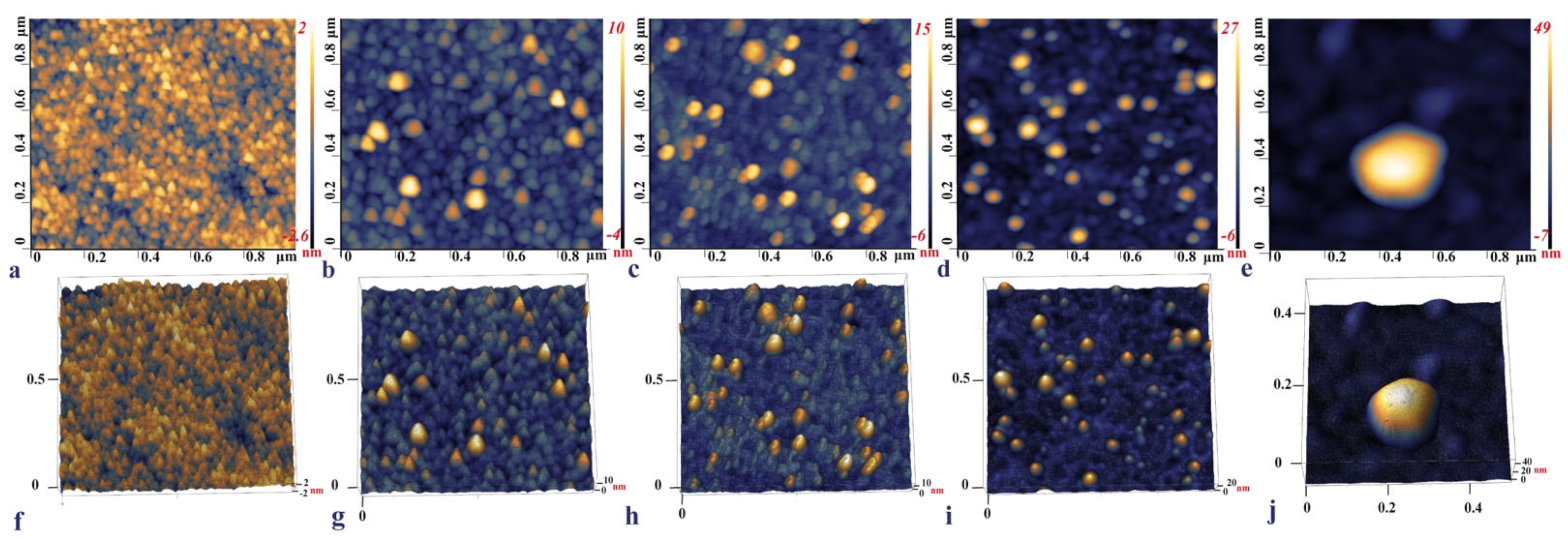 Ijms 23 13138 g004 Ijms 23 13138 g004