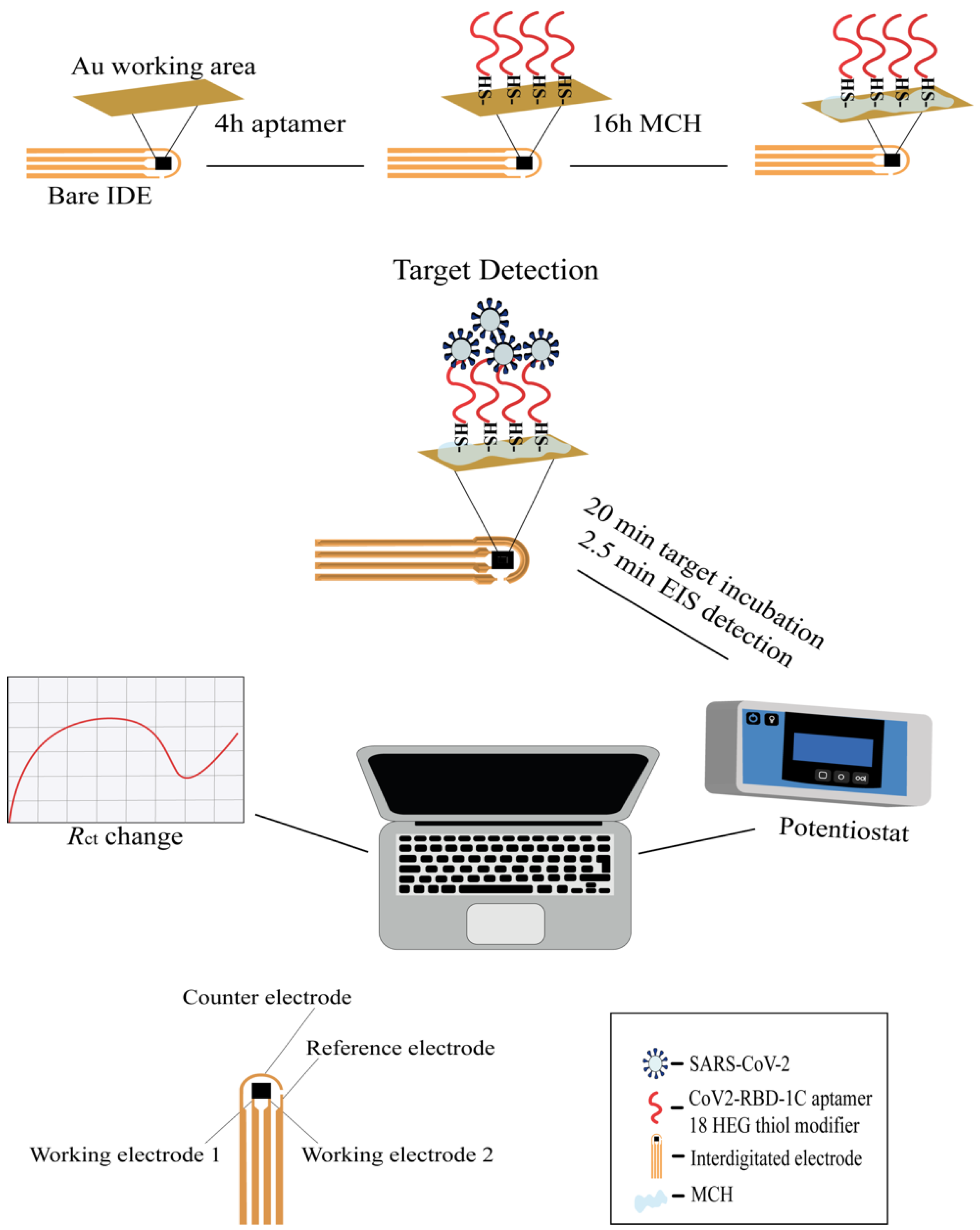 Ijms 23 13138 sch001 Ijms 23 13138 sch001