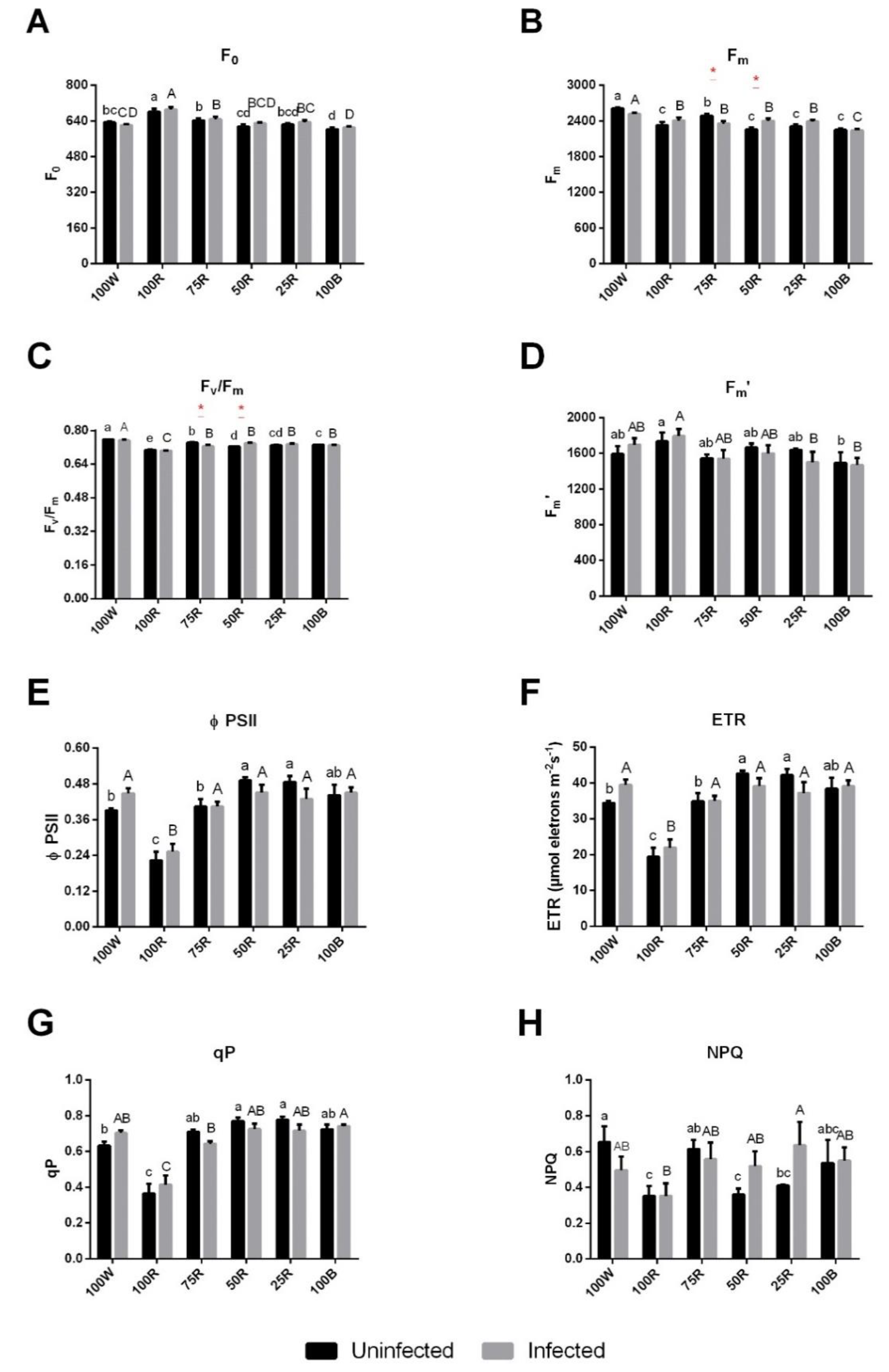 Ijms 23 13145 g002 Ijms 23 13145 g002