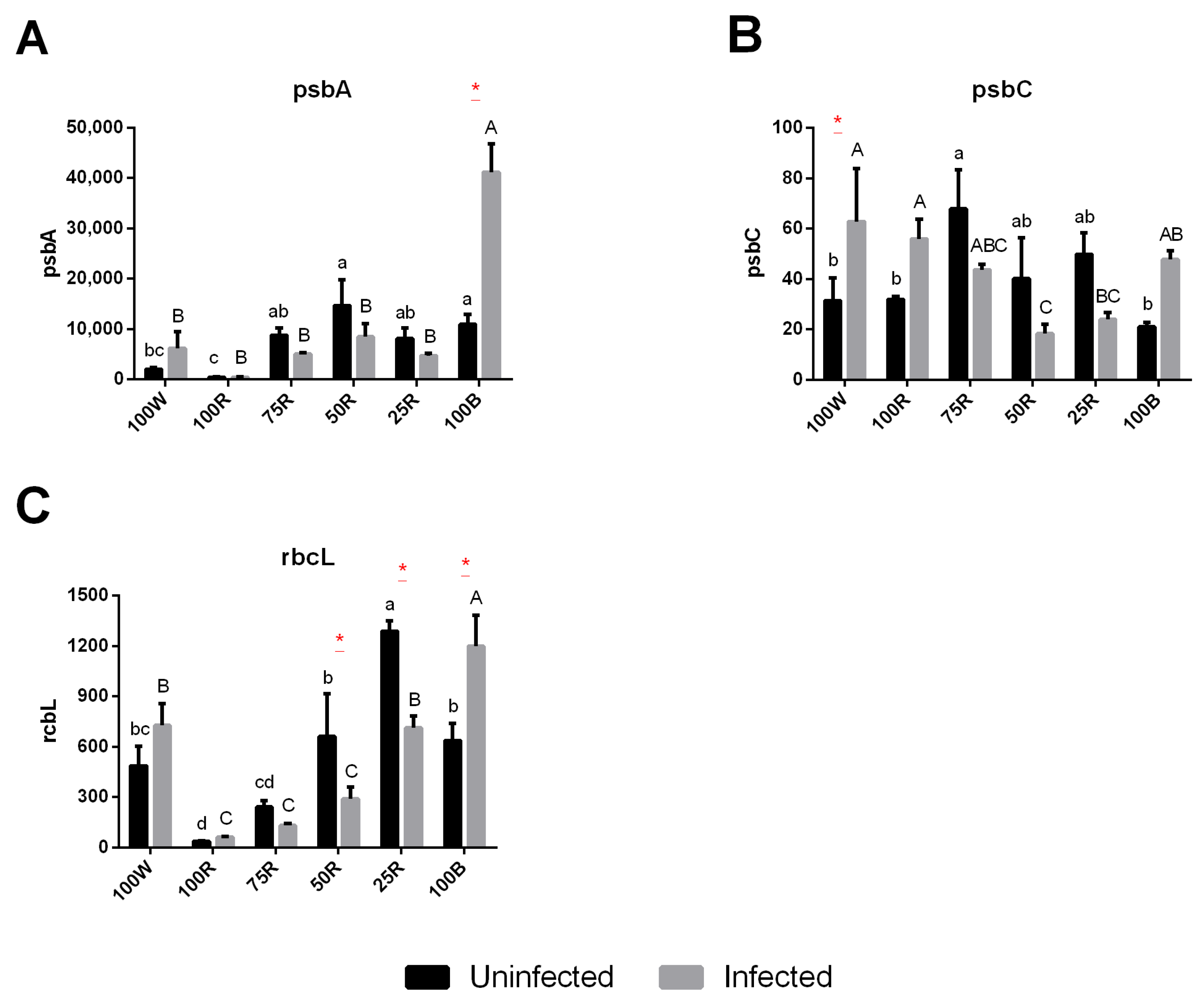 Ijms 23 13145 g006 Ijms 23 13145 g006