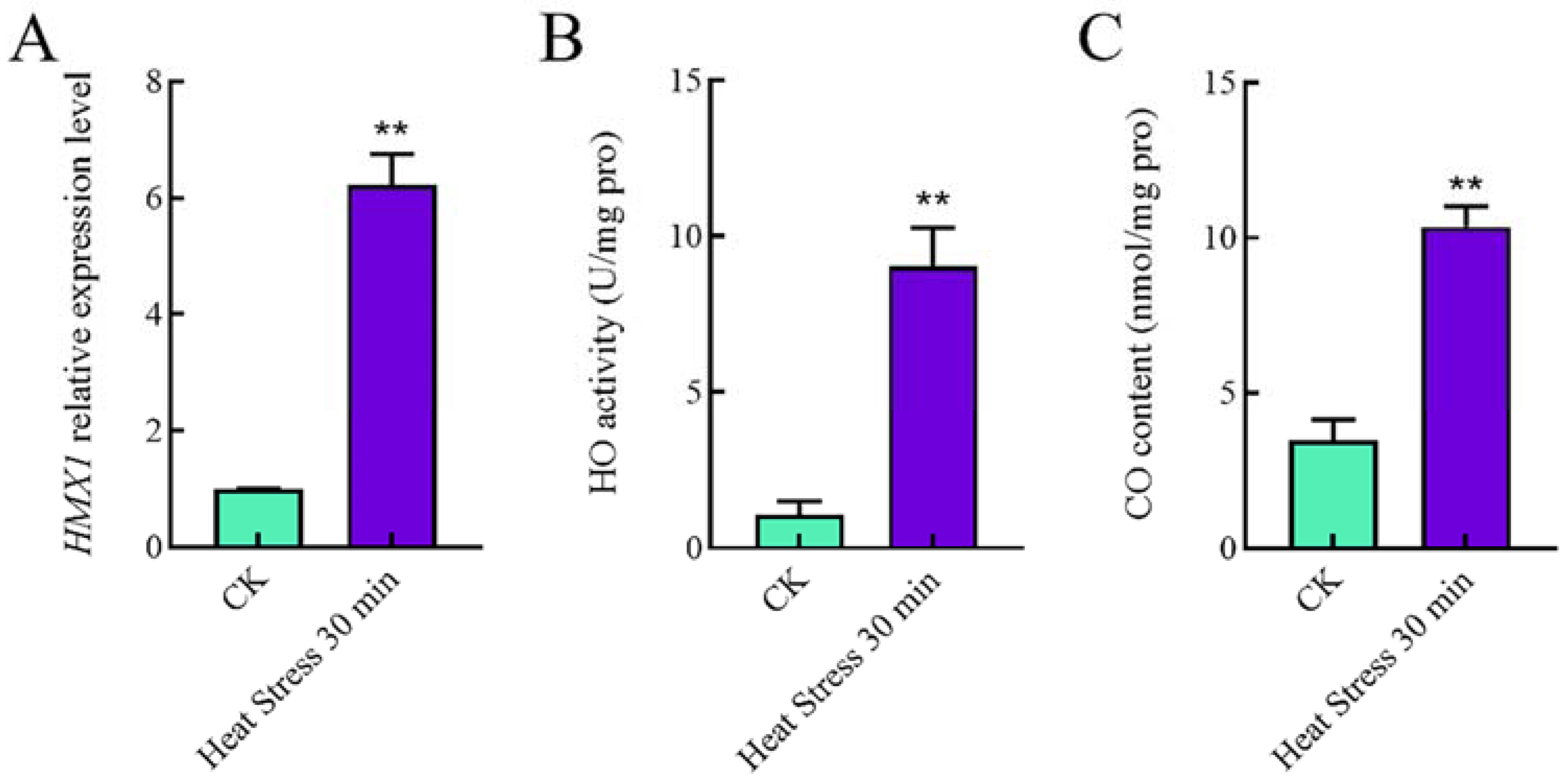 Ijms 23 13147 g001 Ijms 23 13147 g001