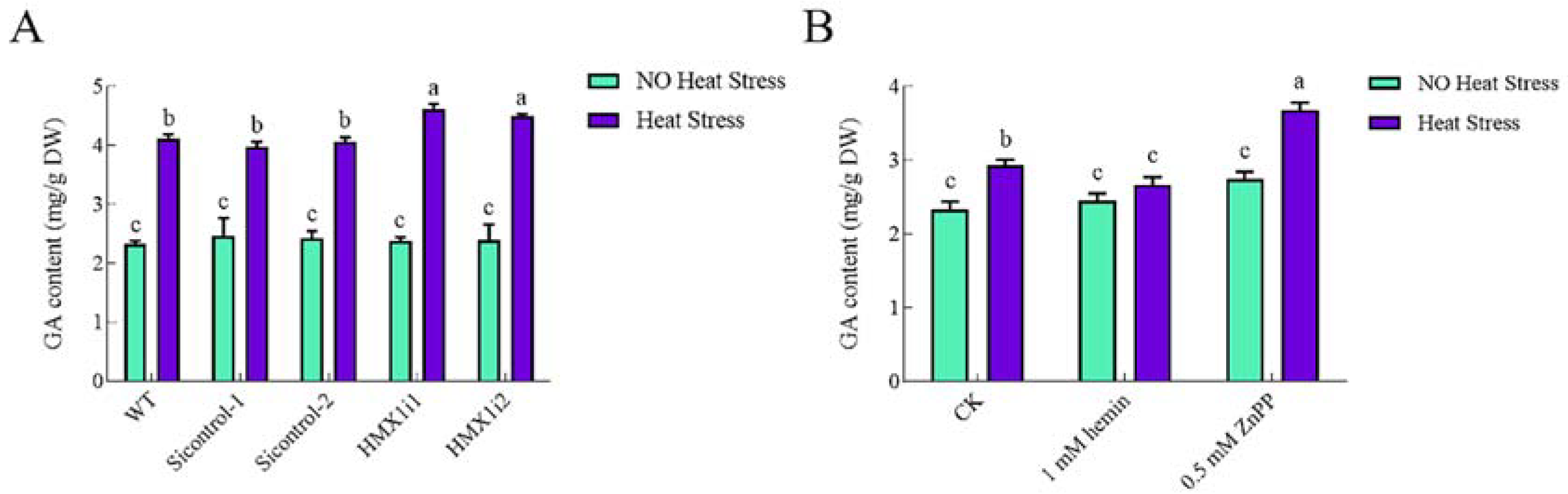 Ijms 23 13147 g003 Ijms 23 13147 g003