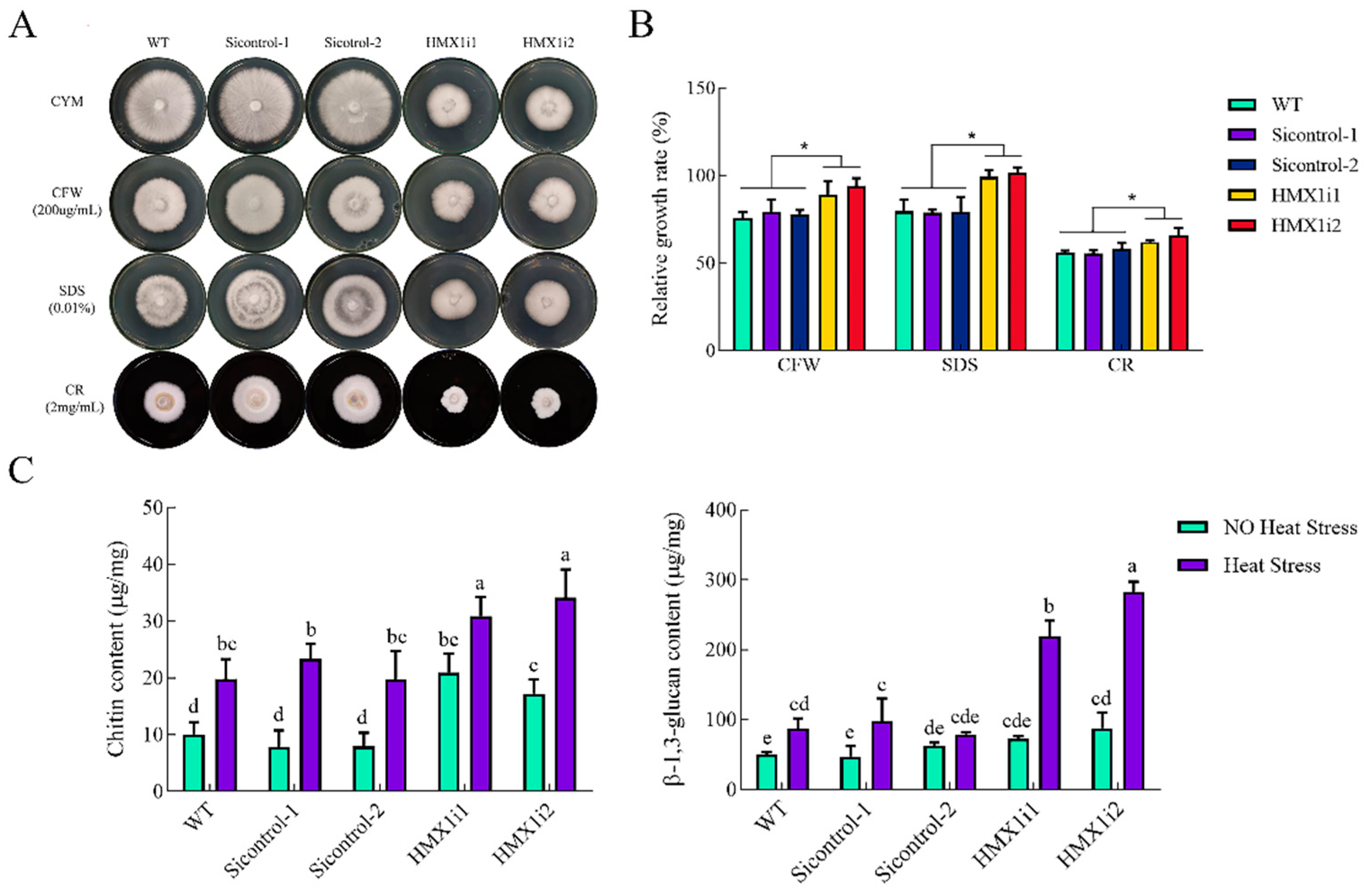 Ijms 23 13147 g006 Ijms 23 13147 g006