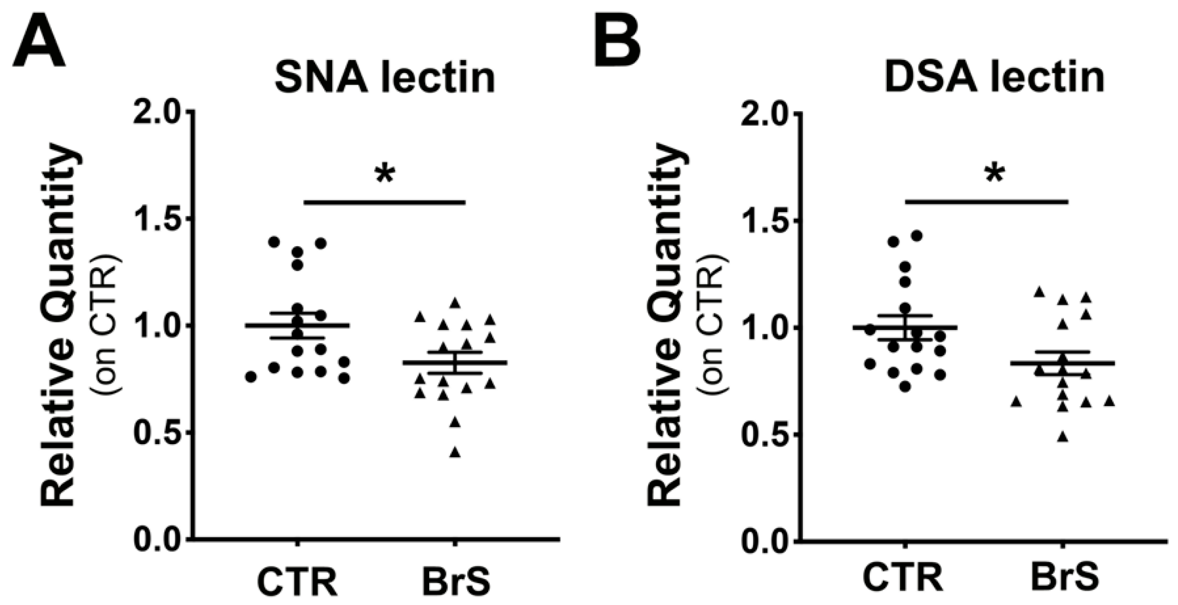 Ijms 23 13154 g003 Ijms 23 13154 g003