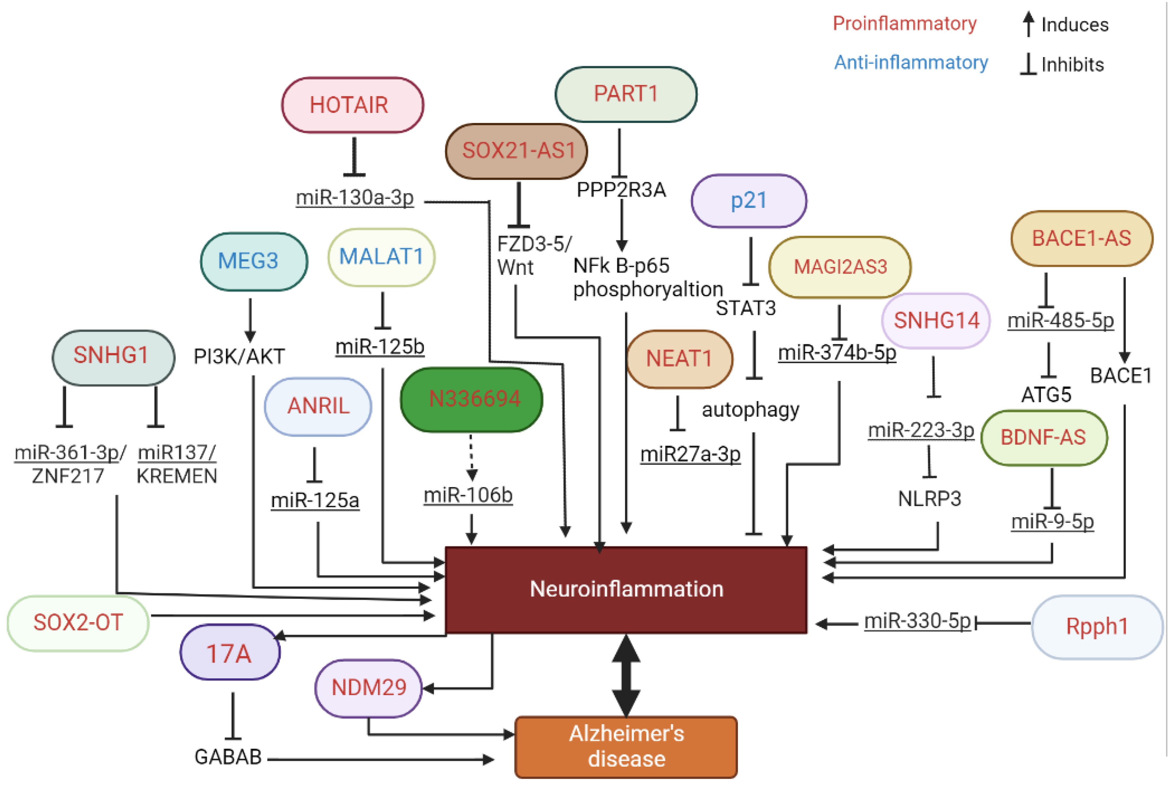 Ijms 23 13171 g001 Ijms 23 13171 g001