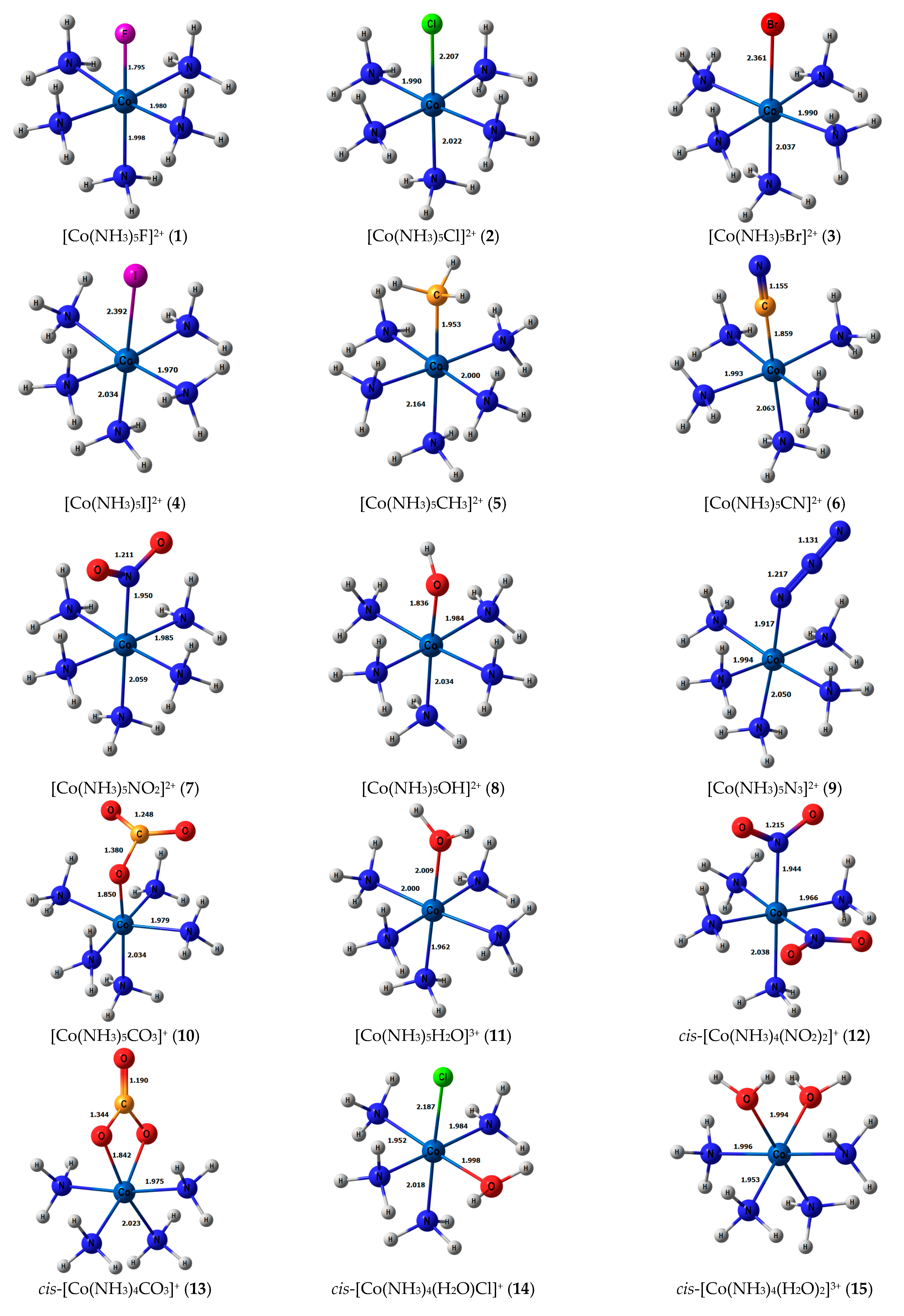 Ijms 23 13178 g001a Ijms 23 13178 g001a