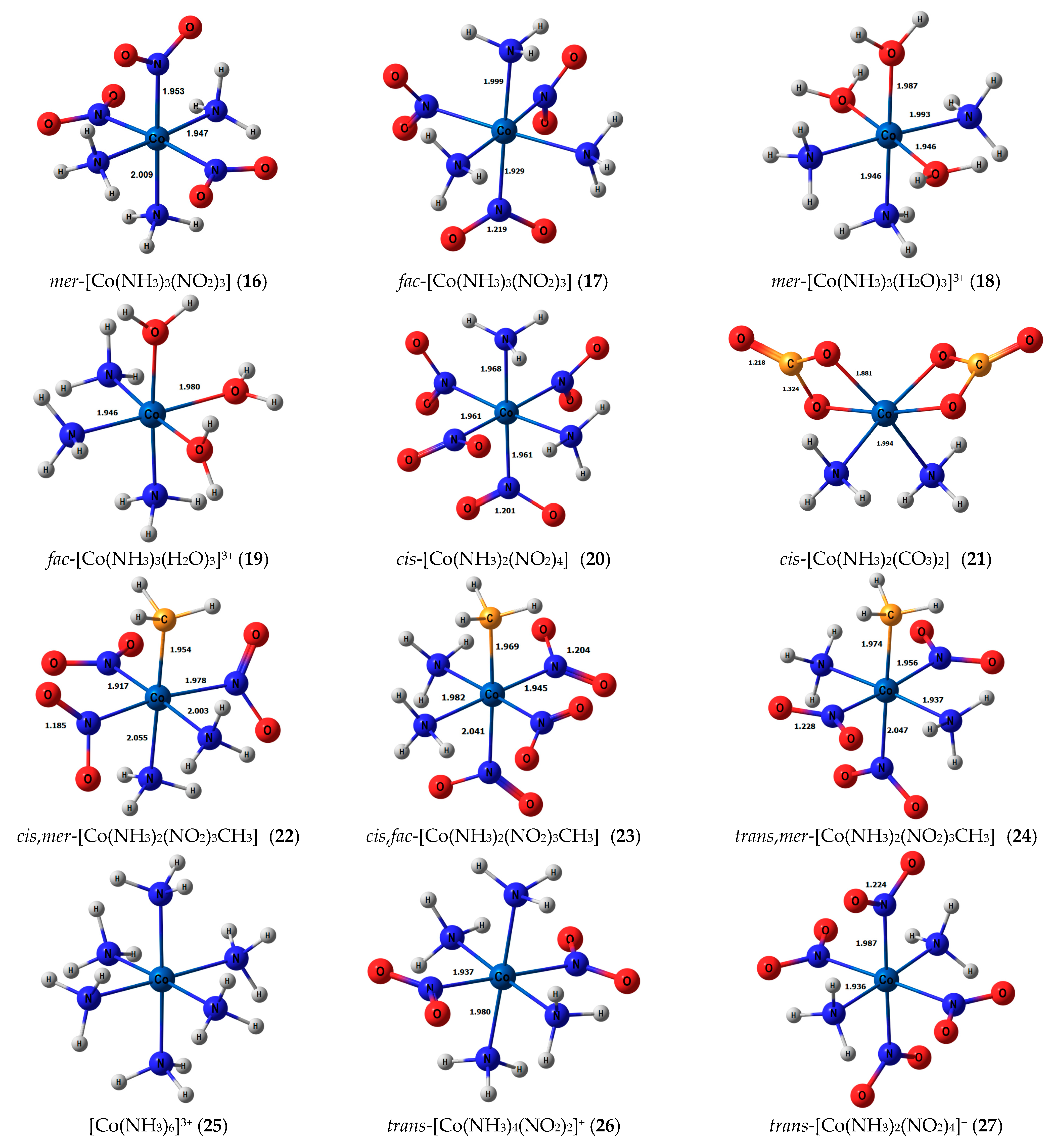 Ijms 23 13178 g001b Ijms 23 13178 g001b