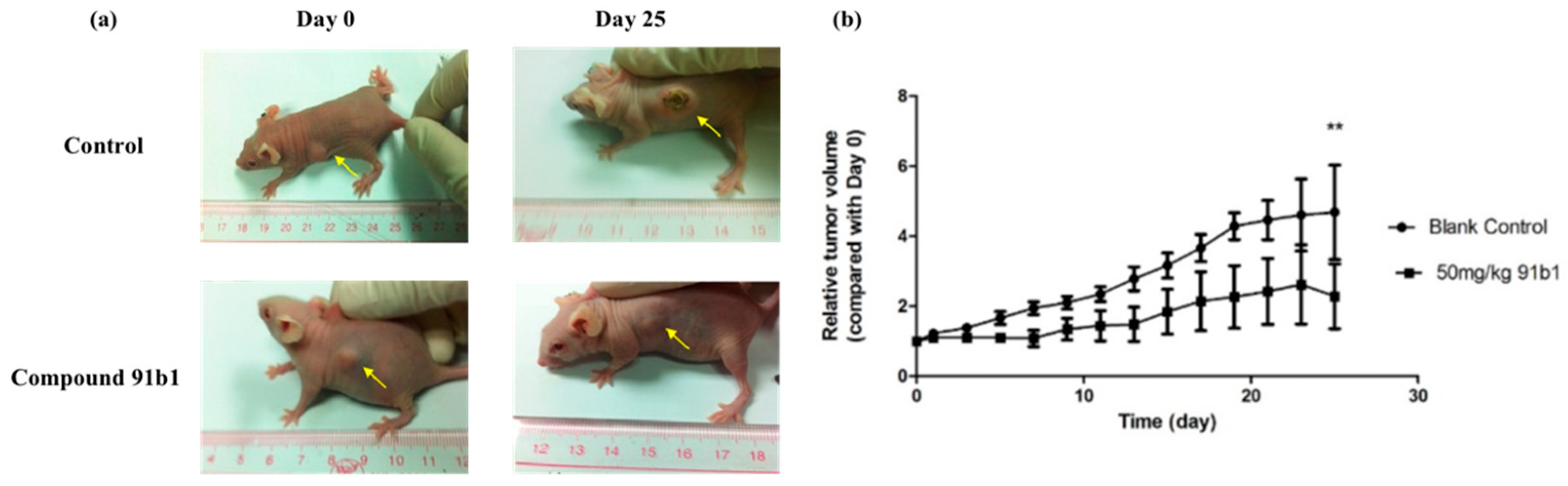 Ijms 23 13181 g002 Ijms 23 13181 g002