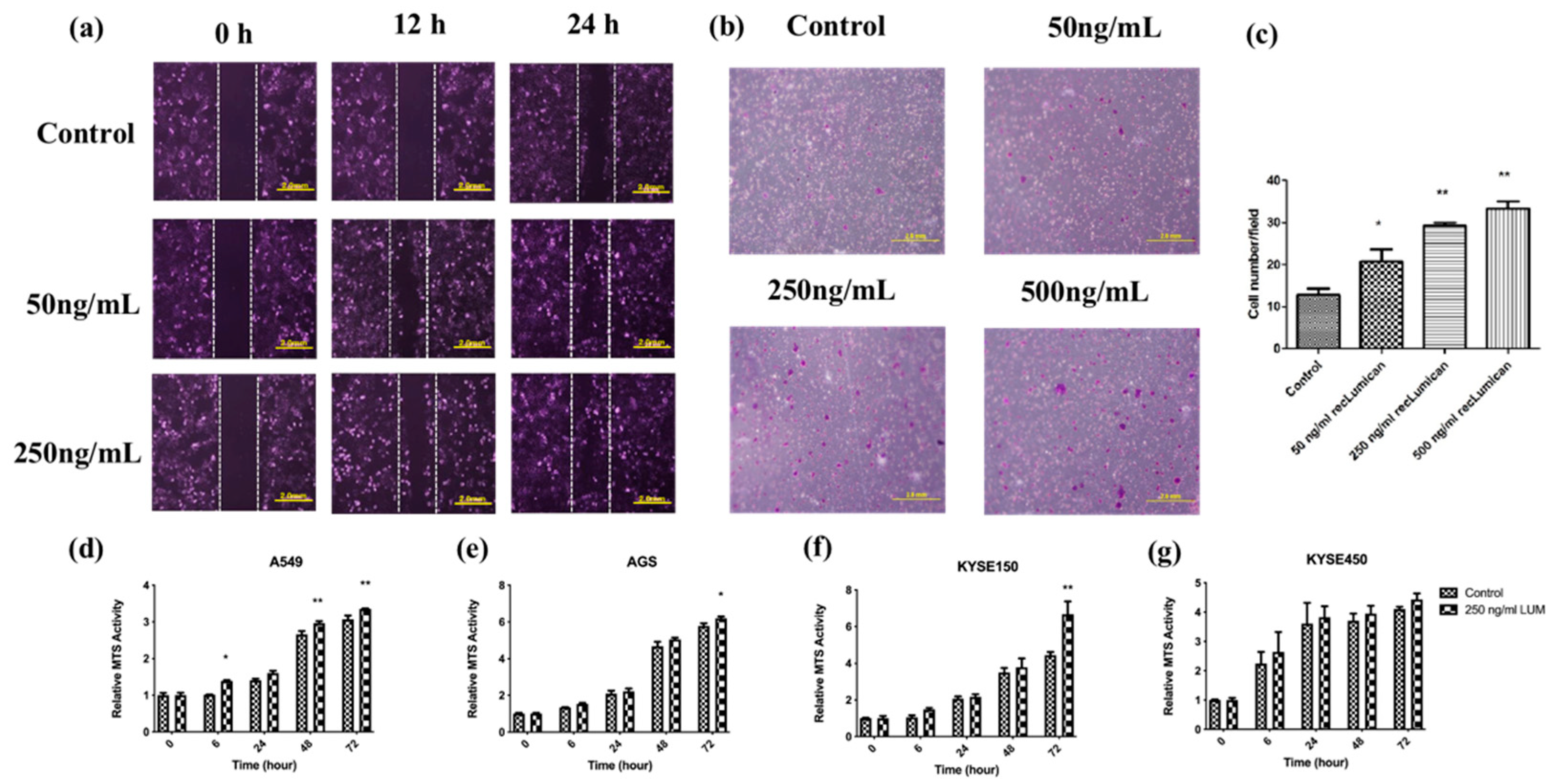 Ijms 23 13181 g005 Ijms 23 13181 g005