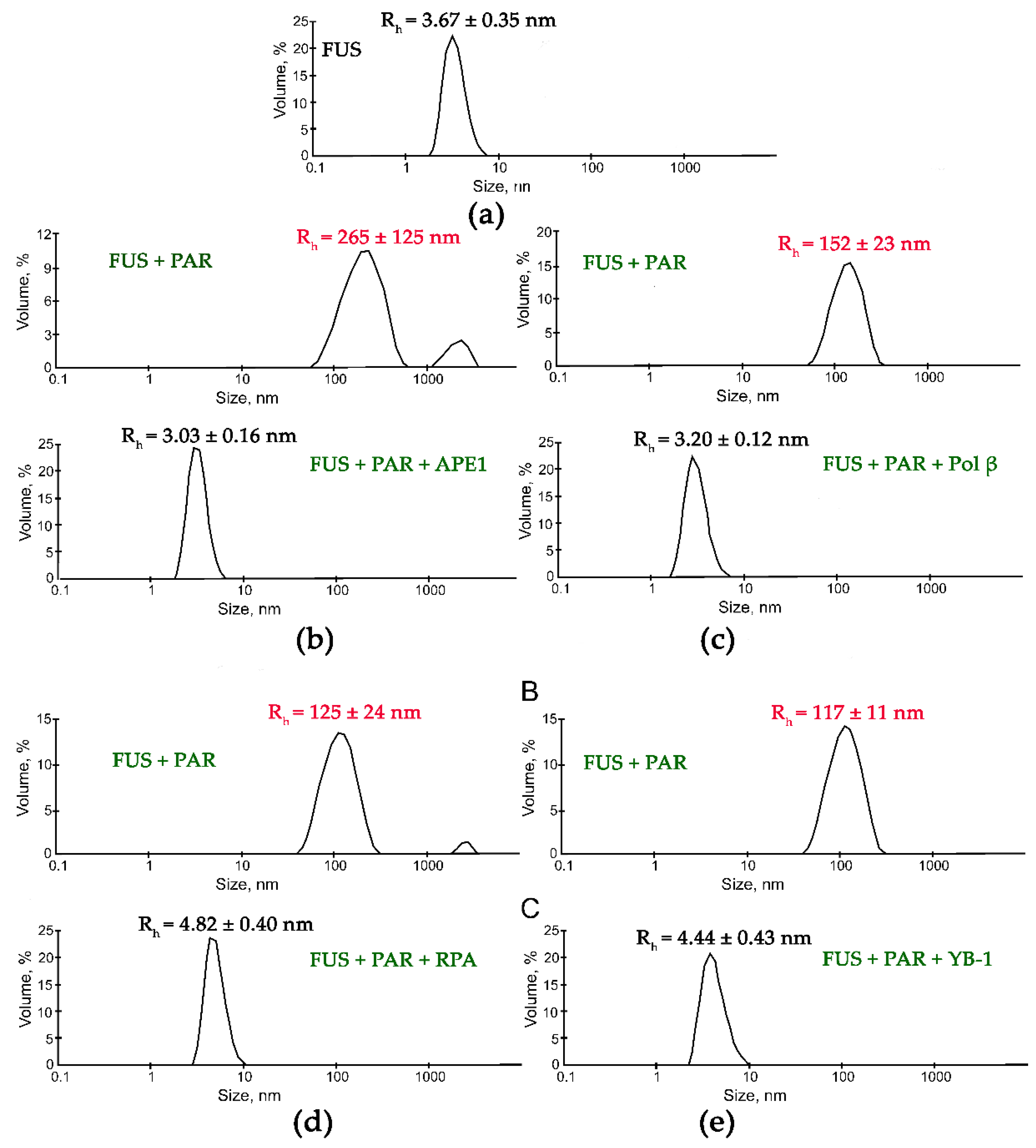 Ijms 23 13200 g004 Ijms 23 13200 g004
