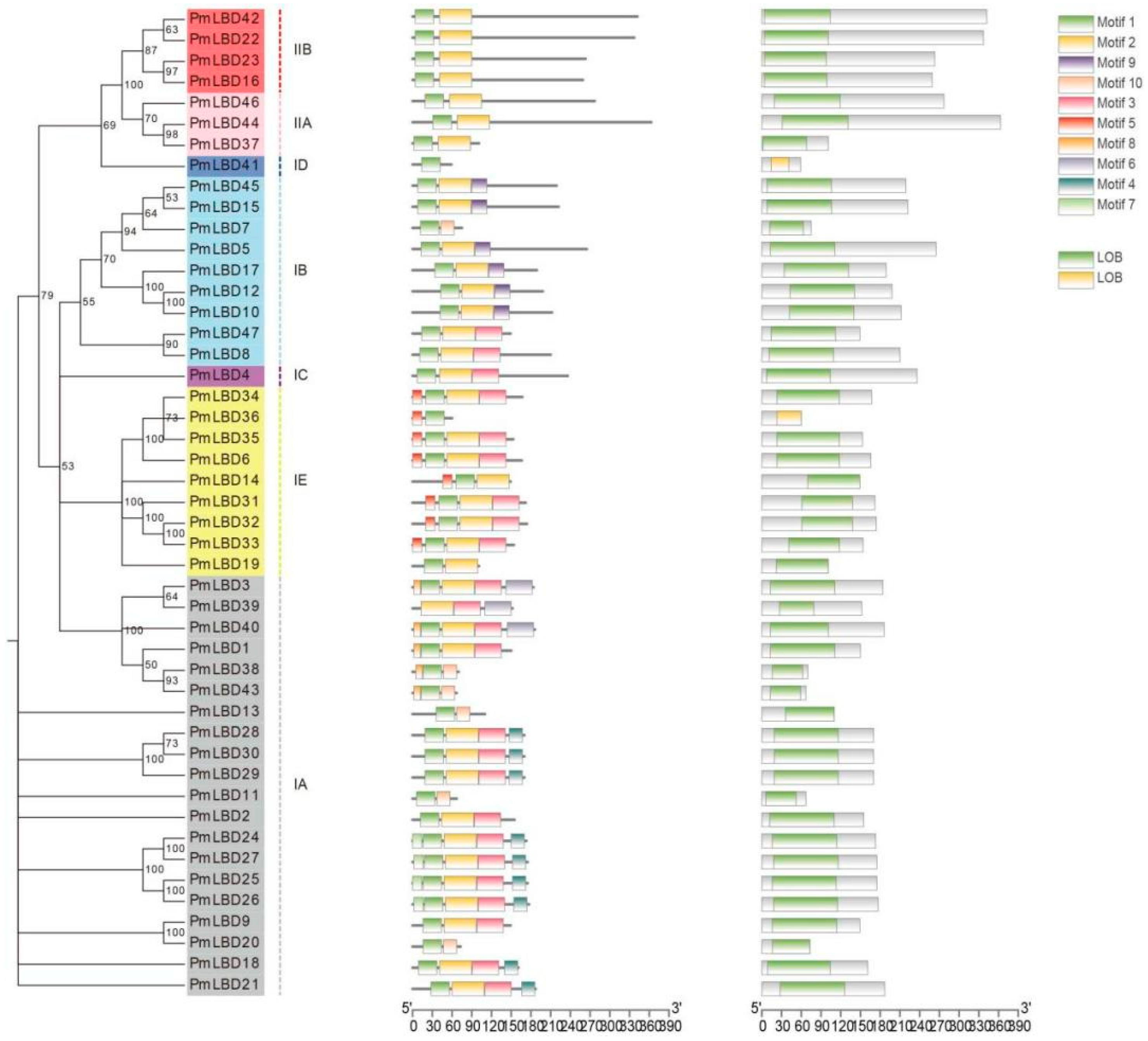 Ijms 23 13215 g005 Ijms 23 13215 g005