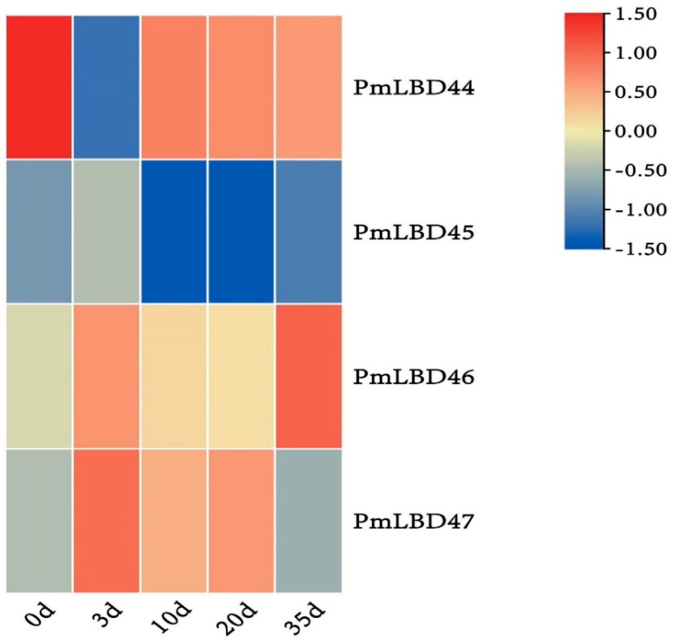 Ijms 23 13215 g006 Ijms 23 13215 g006
