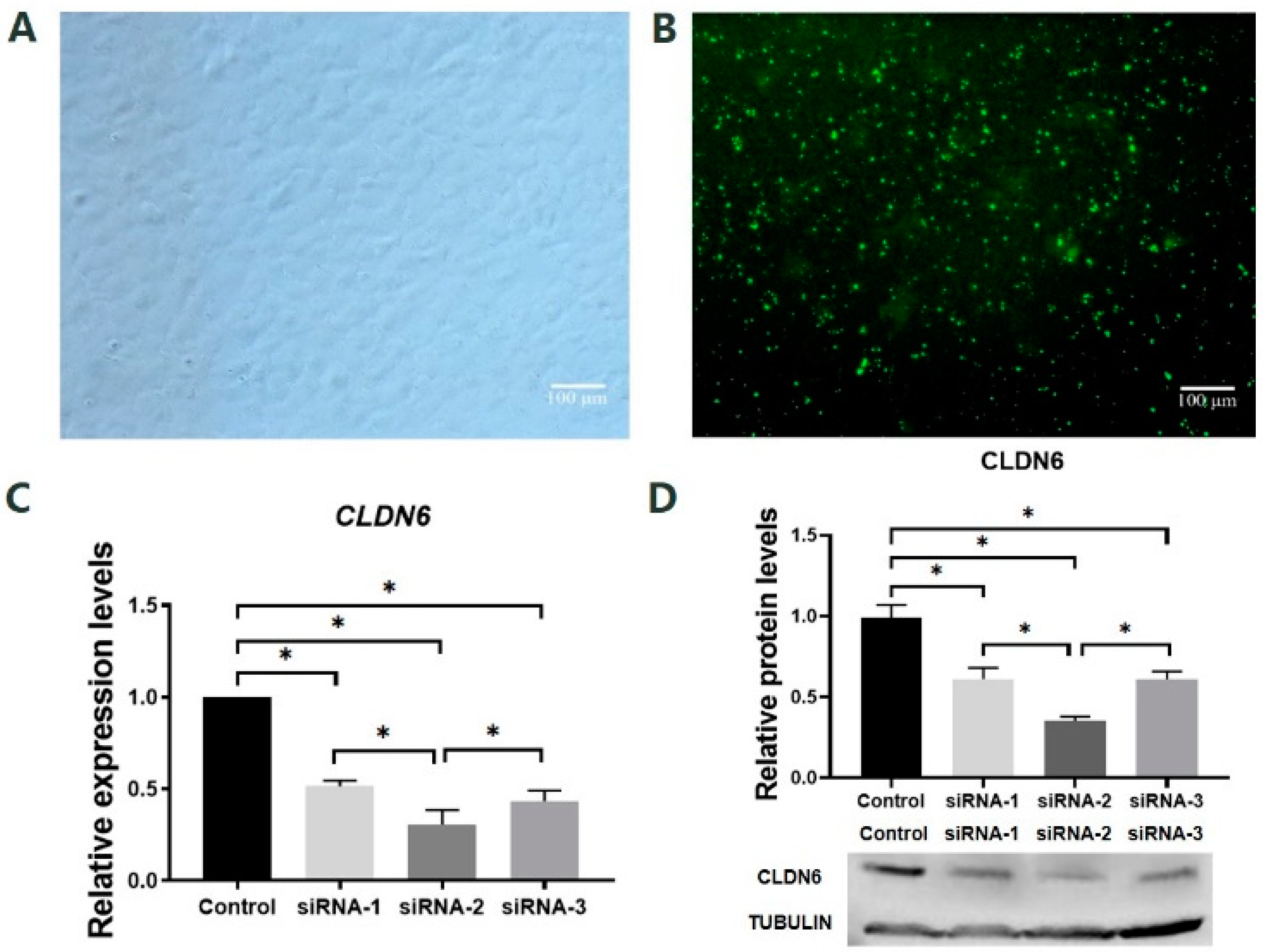 Ijms 23 13222 g003 Ijms 23 13222 g003