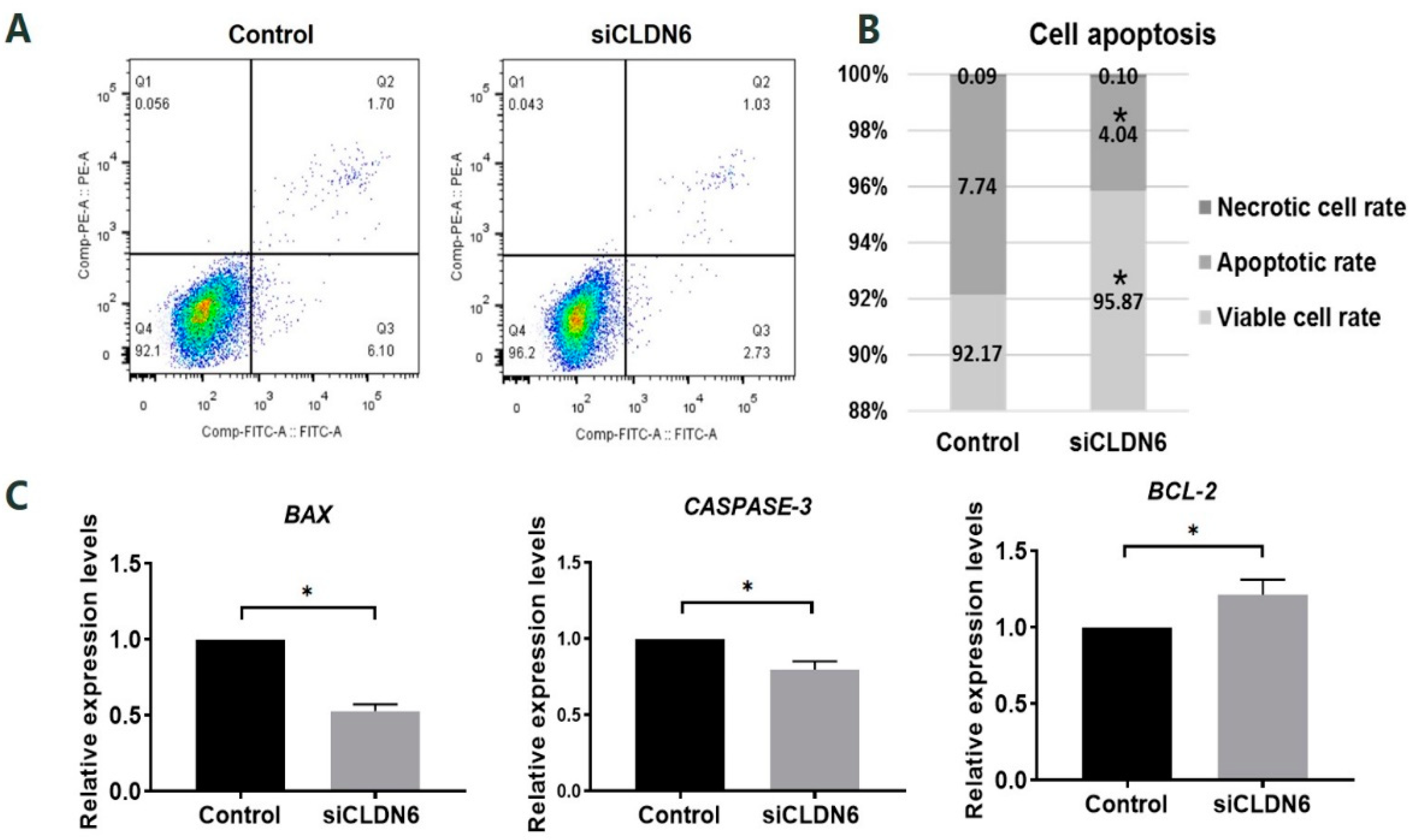 Ijms 23 13222 g004 Ijms 23 13222 g004