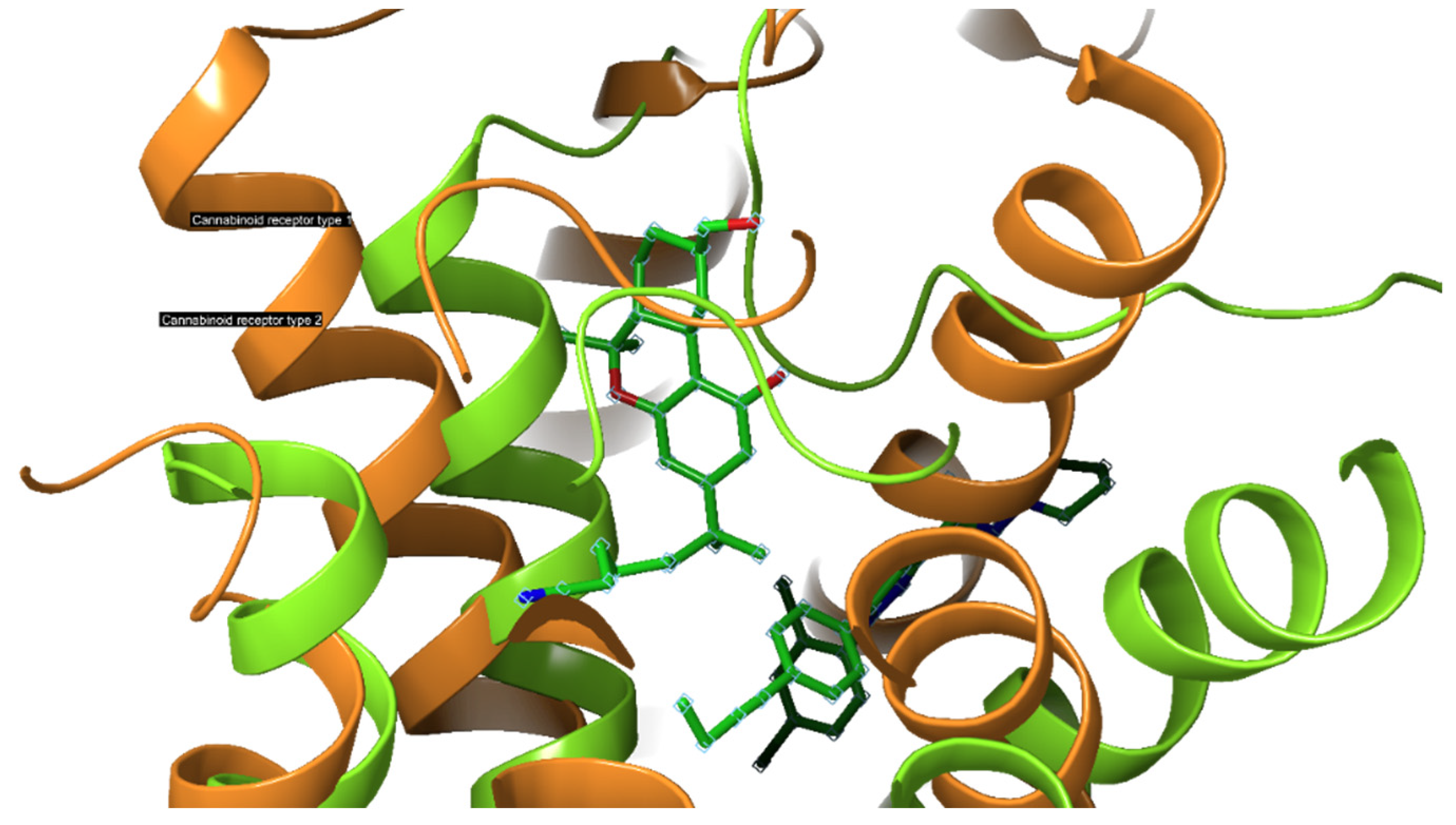 https://www.mdpi.com/ijms/ijms-23-13223/article_deploy/html/images/ijms-23-13223-g003.png