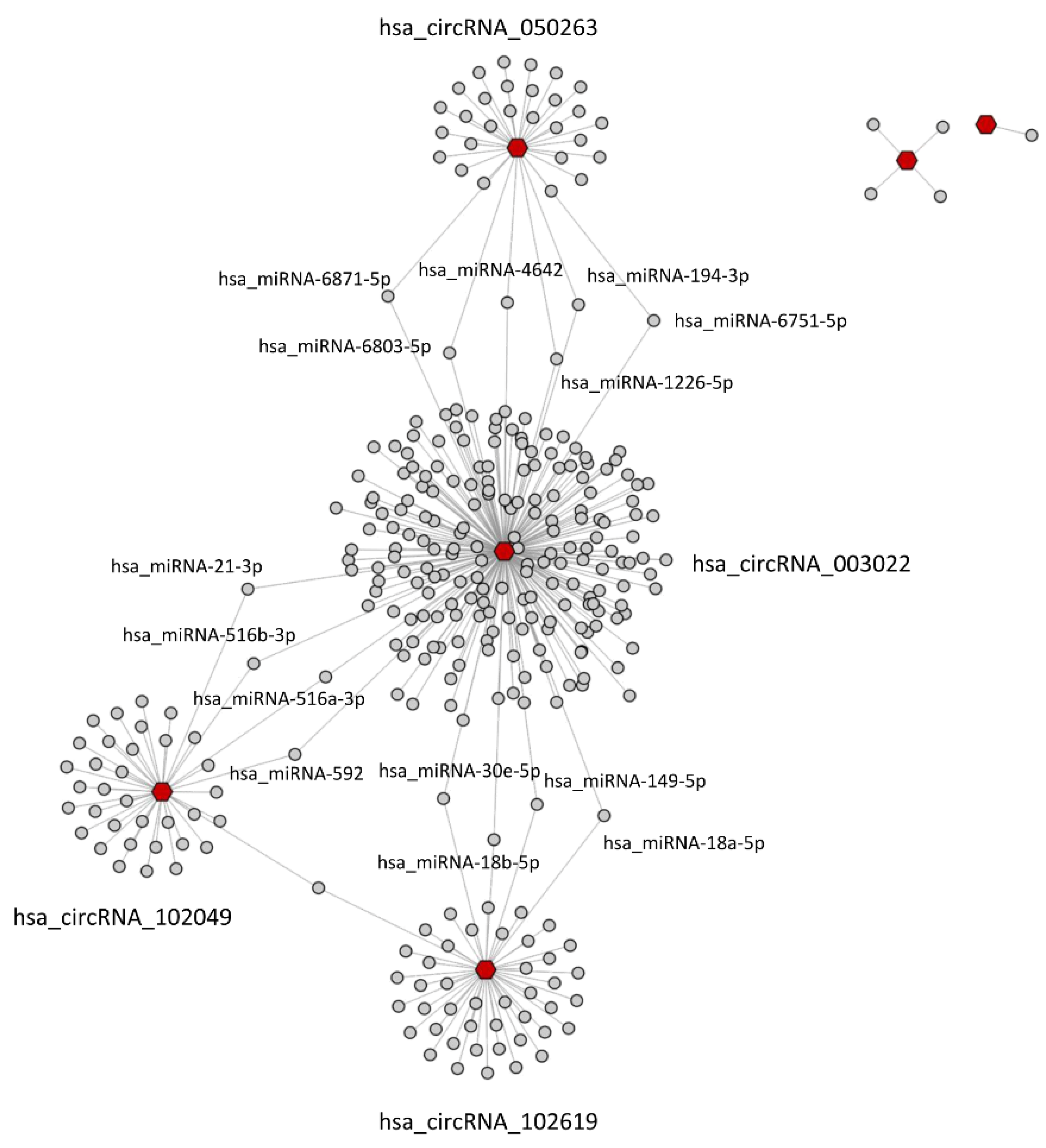 Ijms 23 13232 g005 Ijms 23 13232 g005