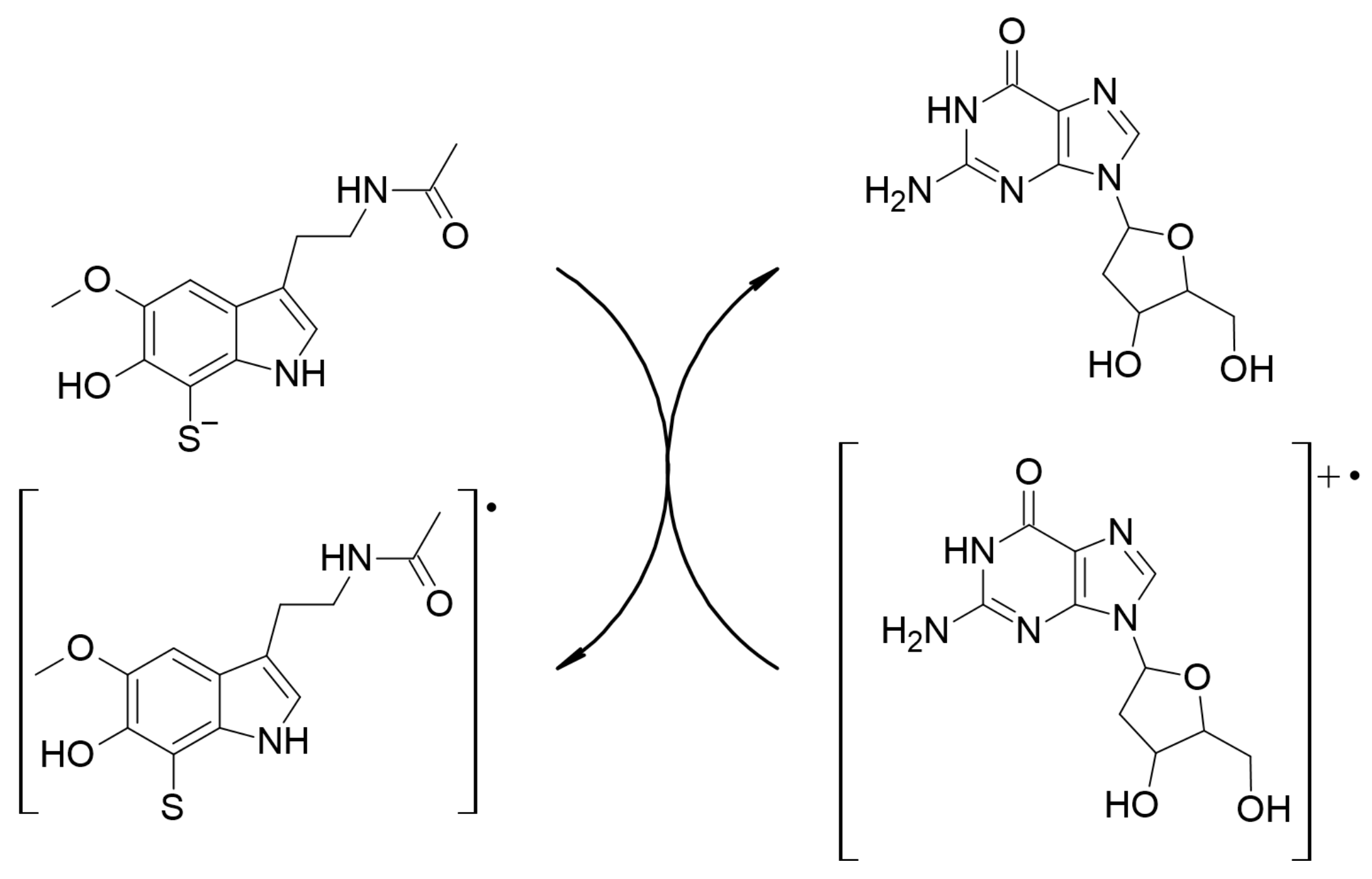 Ijms 23 13246 sch005