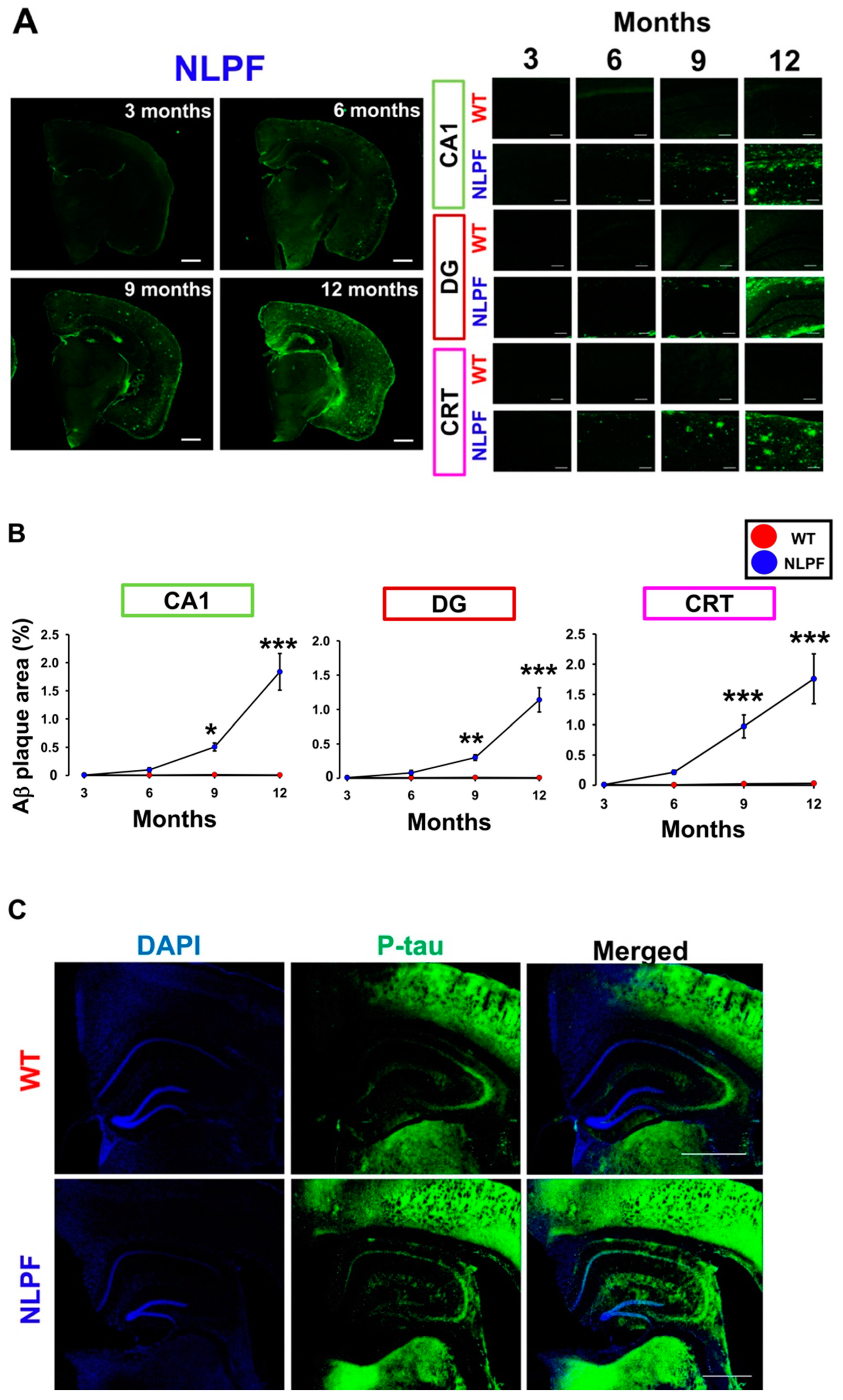 Ijms 23 13259 g002a Ijms 23 13259 g002a