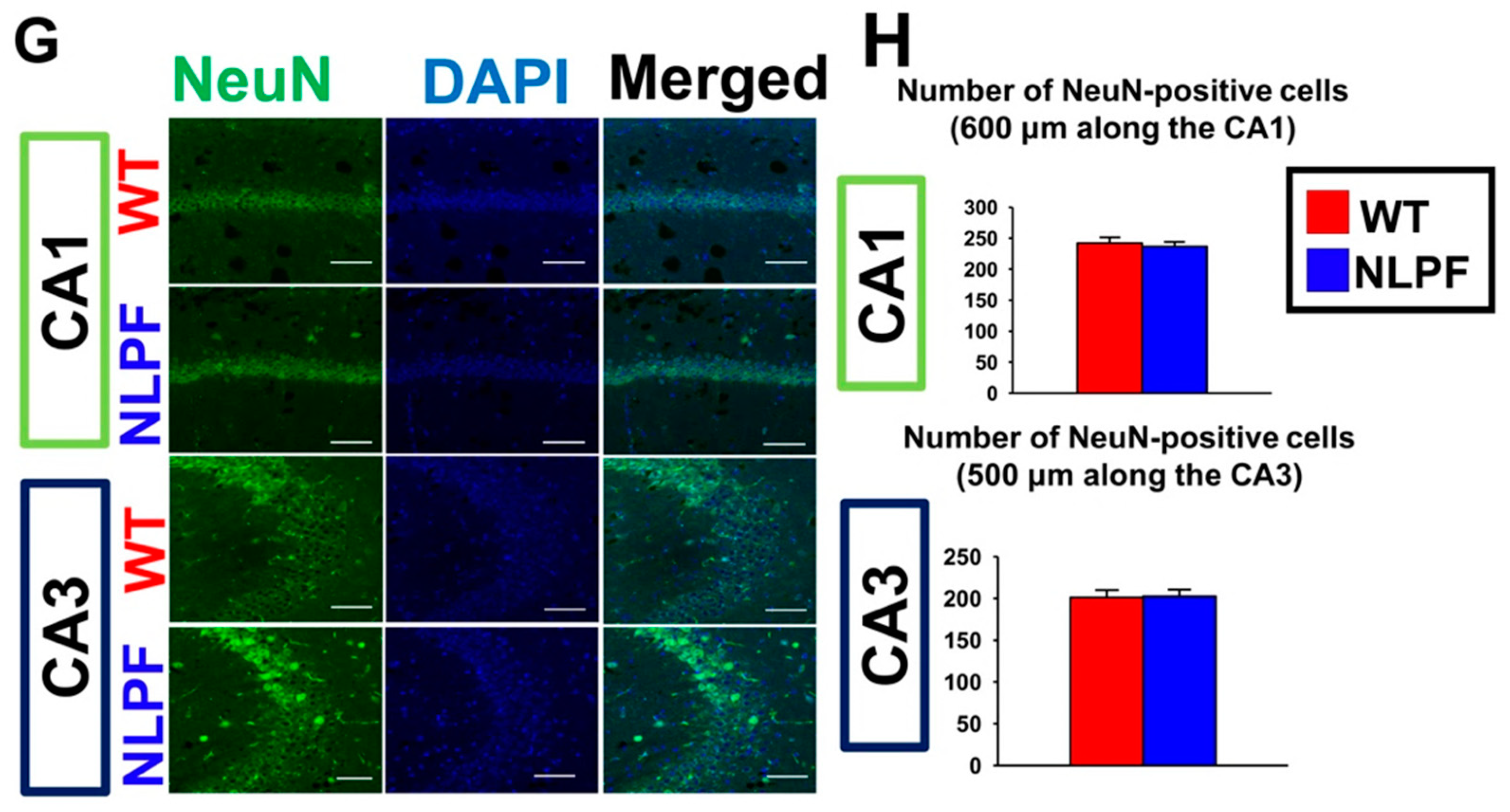 Ijms 23 13259 g002c Ijms 23 13259 g002c