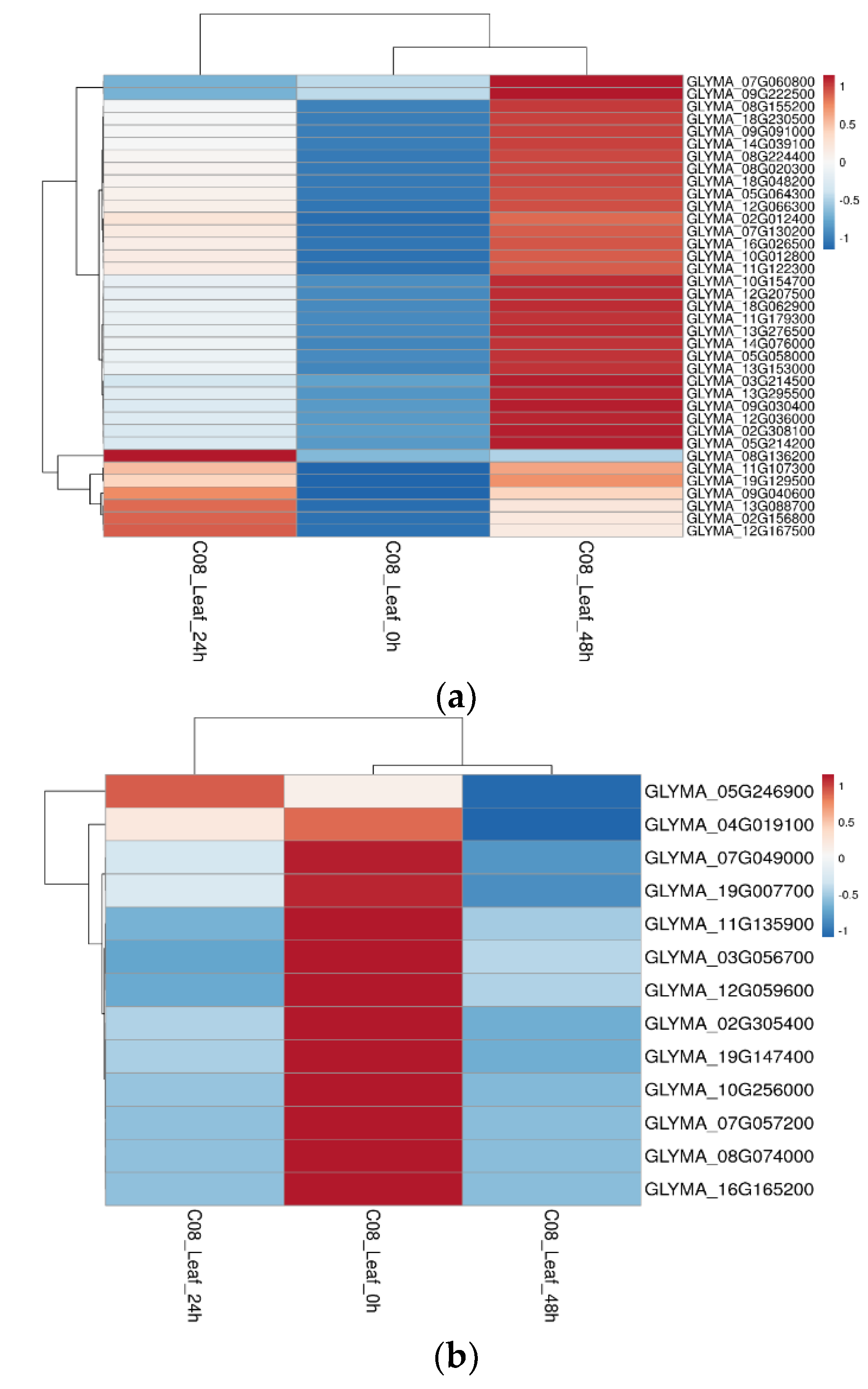 Ijms 23 13270 g007 Ijms 23 13270 g007