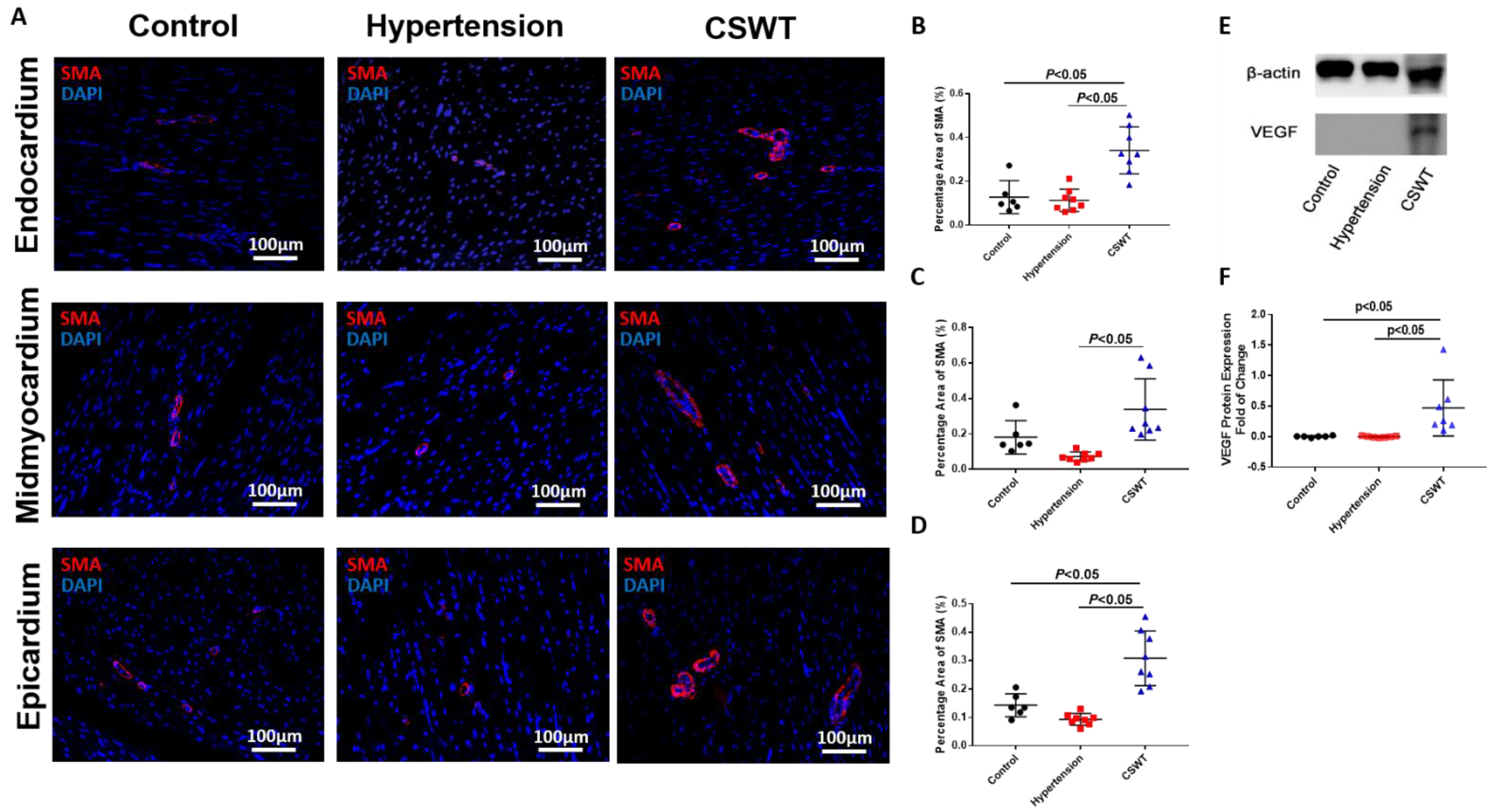 Ijms 23 13274 g005 Ijms 23 13274 g005
