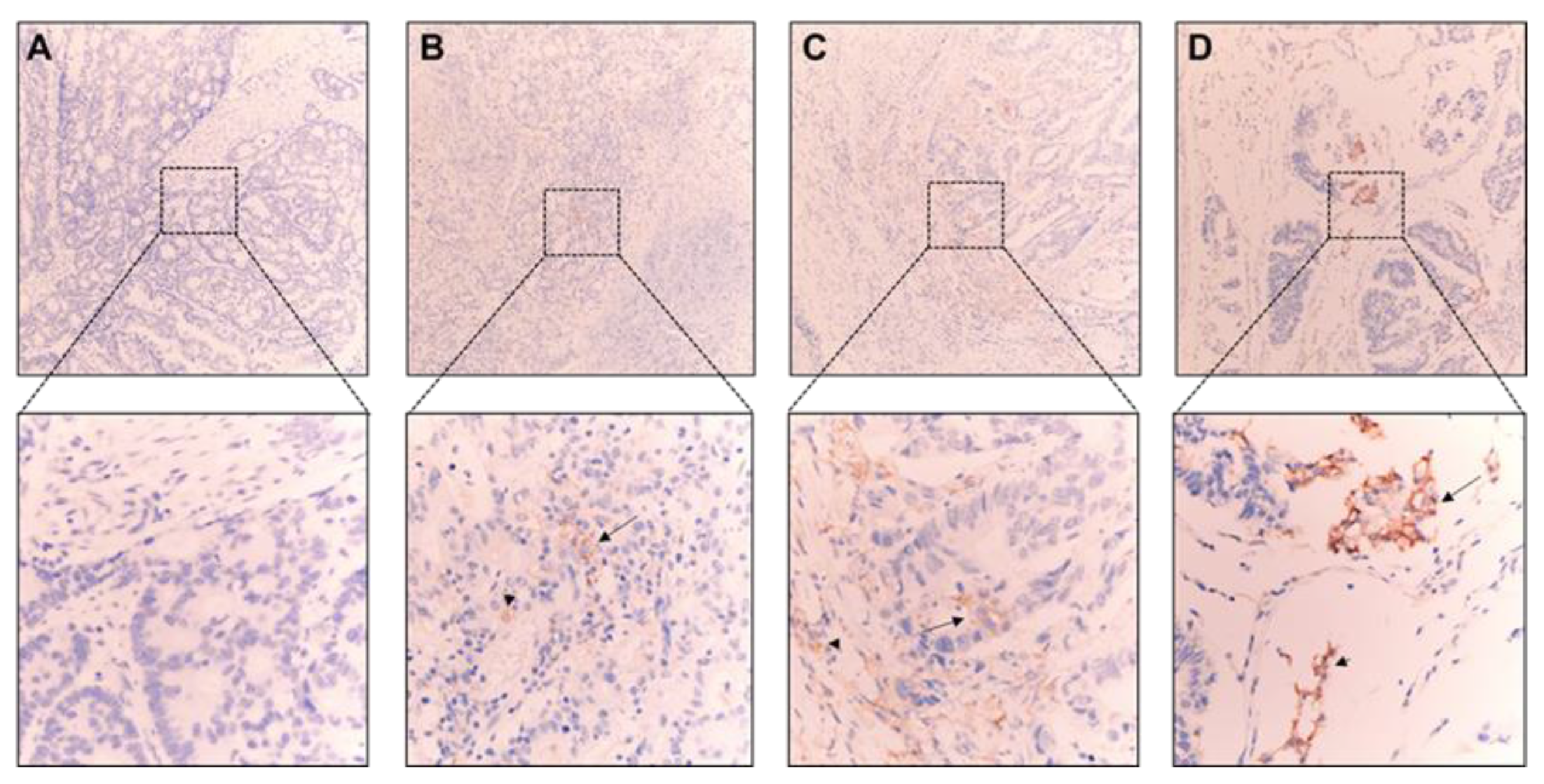 Ijms 23 13277 g001 Ijms 23 13277 g001