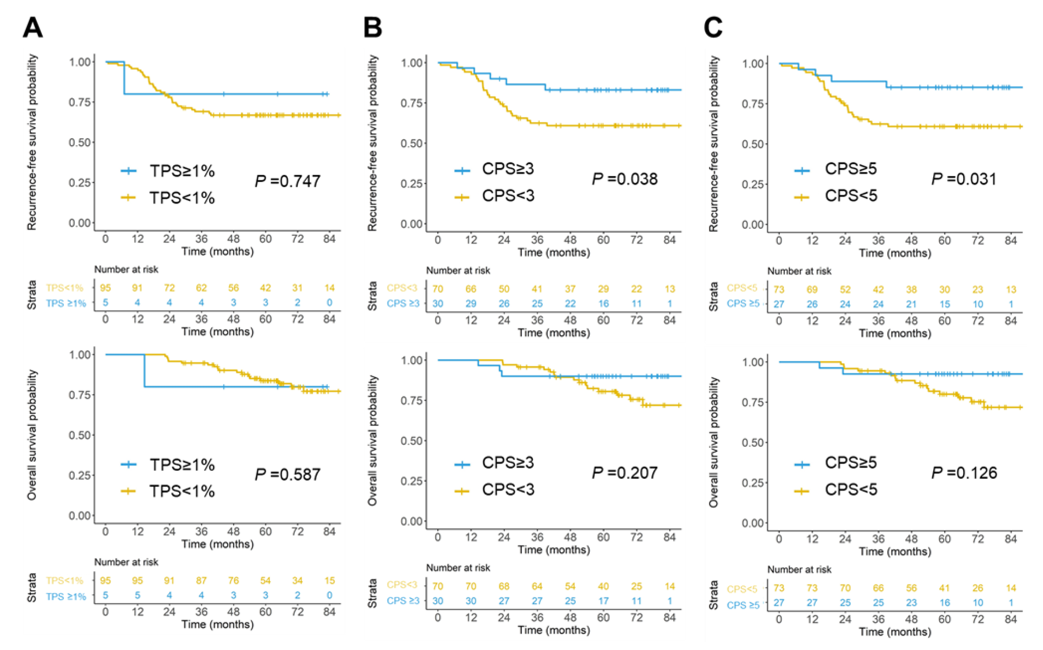 Ijms 23 13277 g002 Ijms 23 13277 g002
