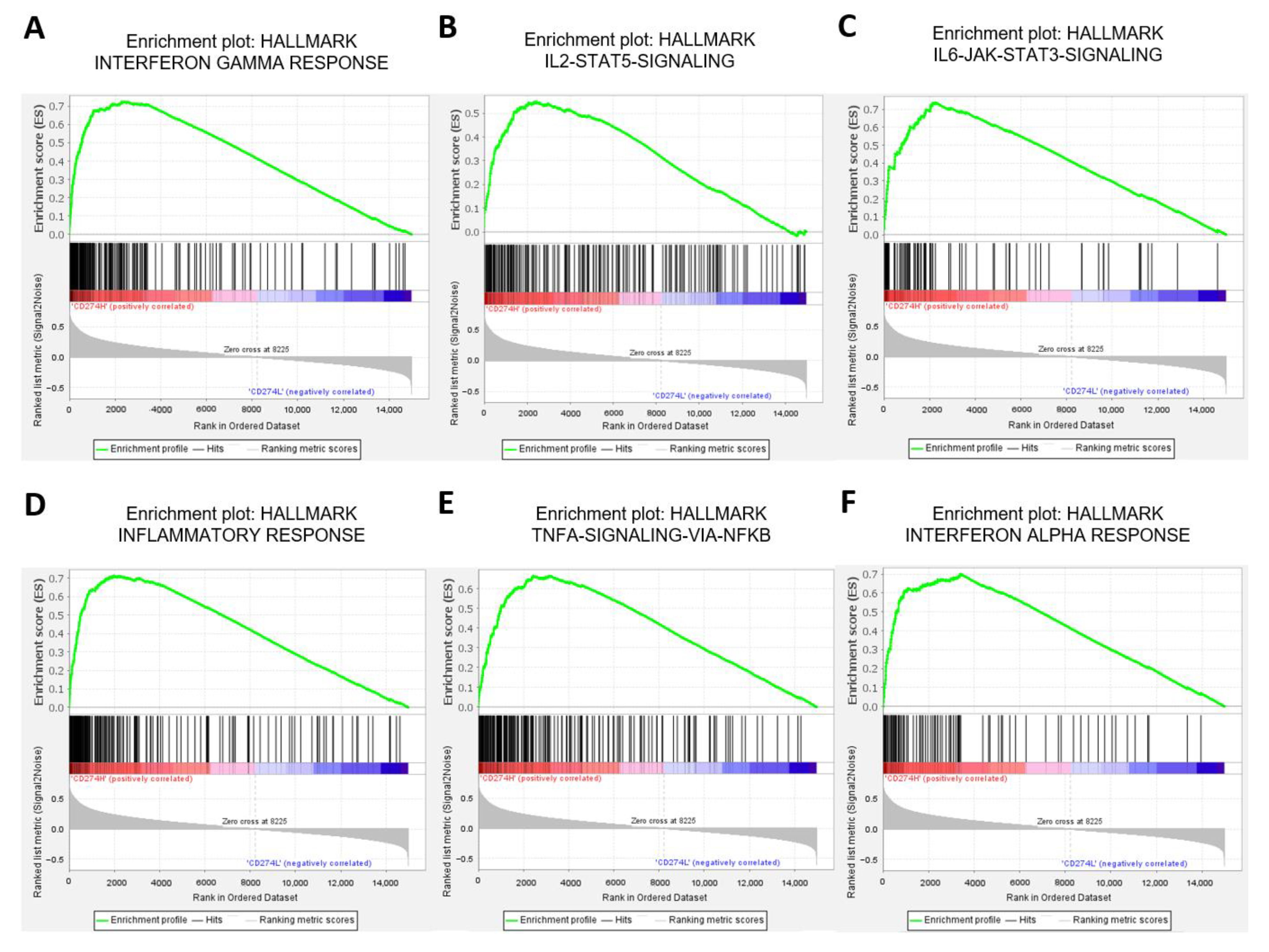 Ijms 23 13277 g003 Ijms 23 13277 g003