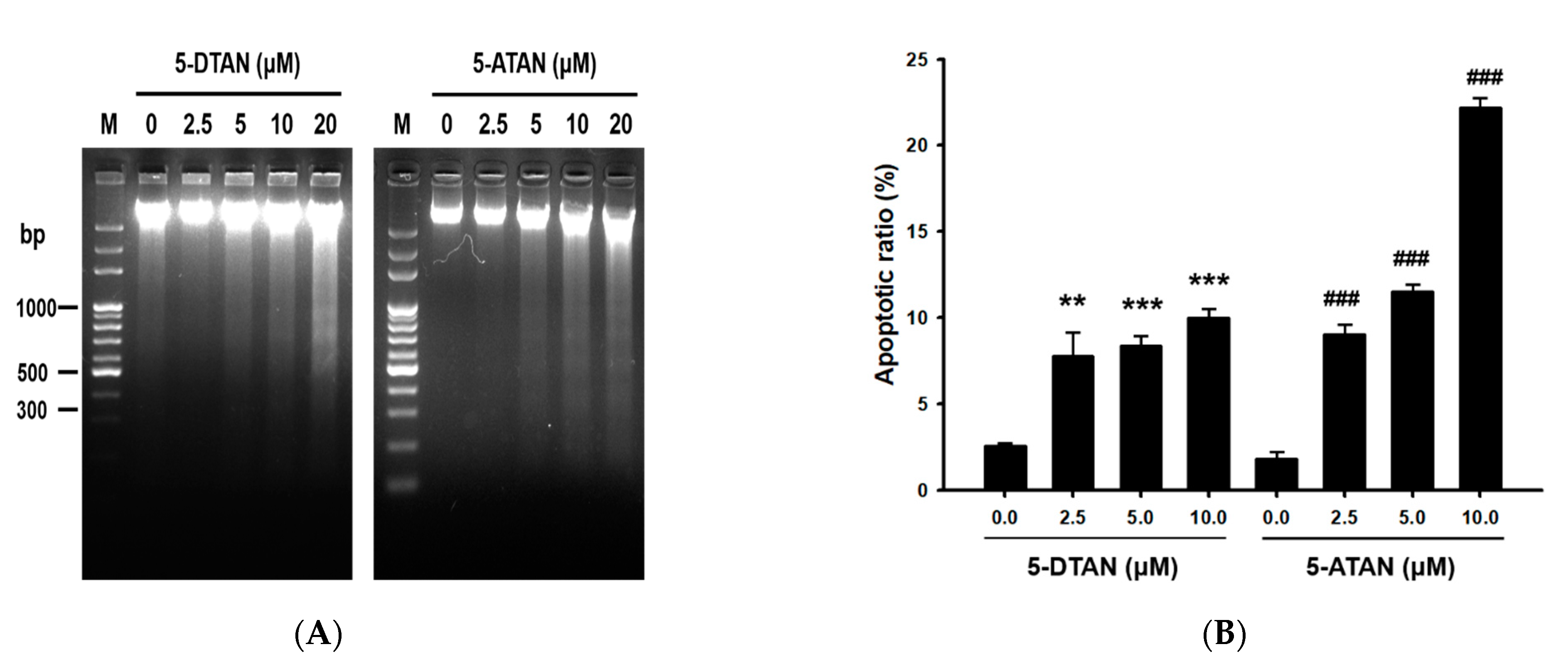 Ijms 23 13284 g002 Ijms 23 13284 g002