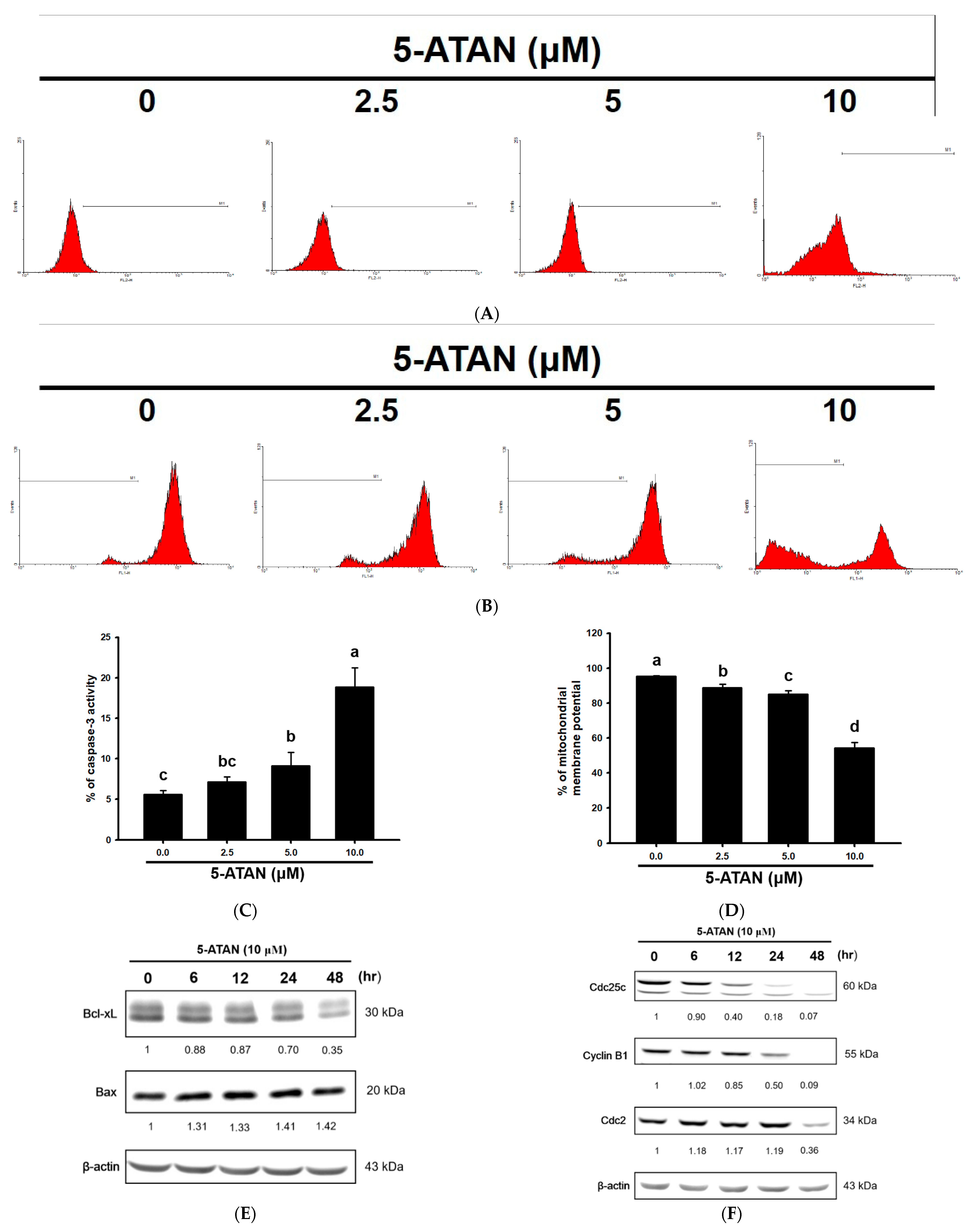 Ijms 23 13284 g003 Ijms 23 13284 g003