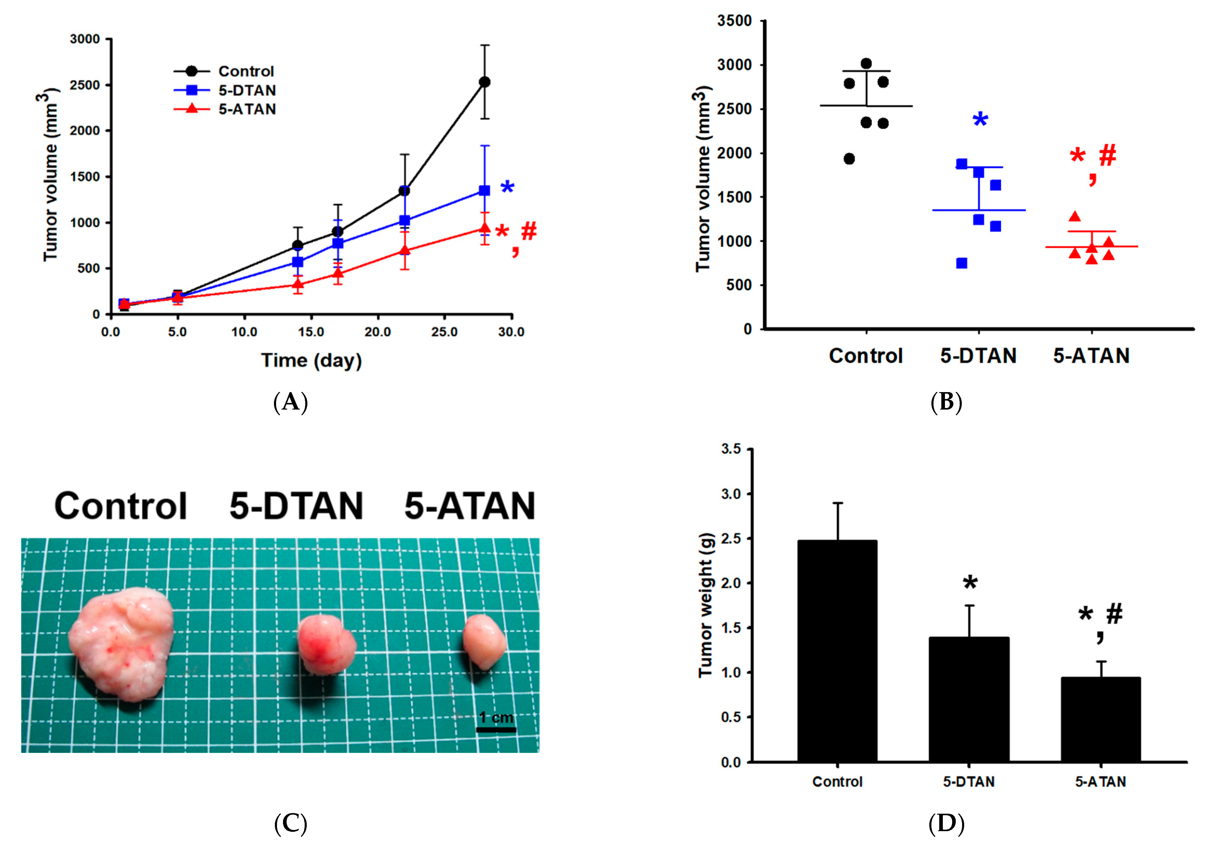 Ijms 23 13284 g005 Ijms 23 13284 g005