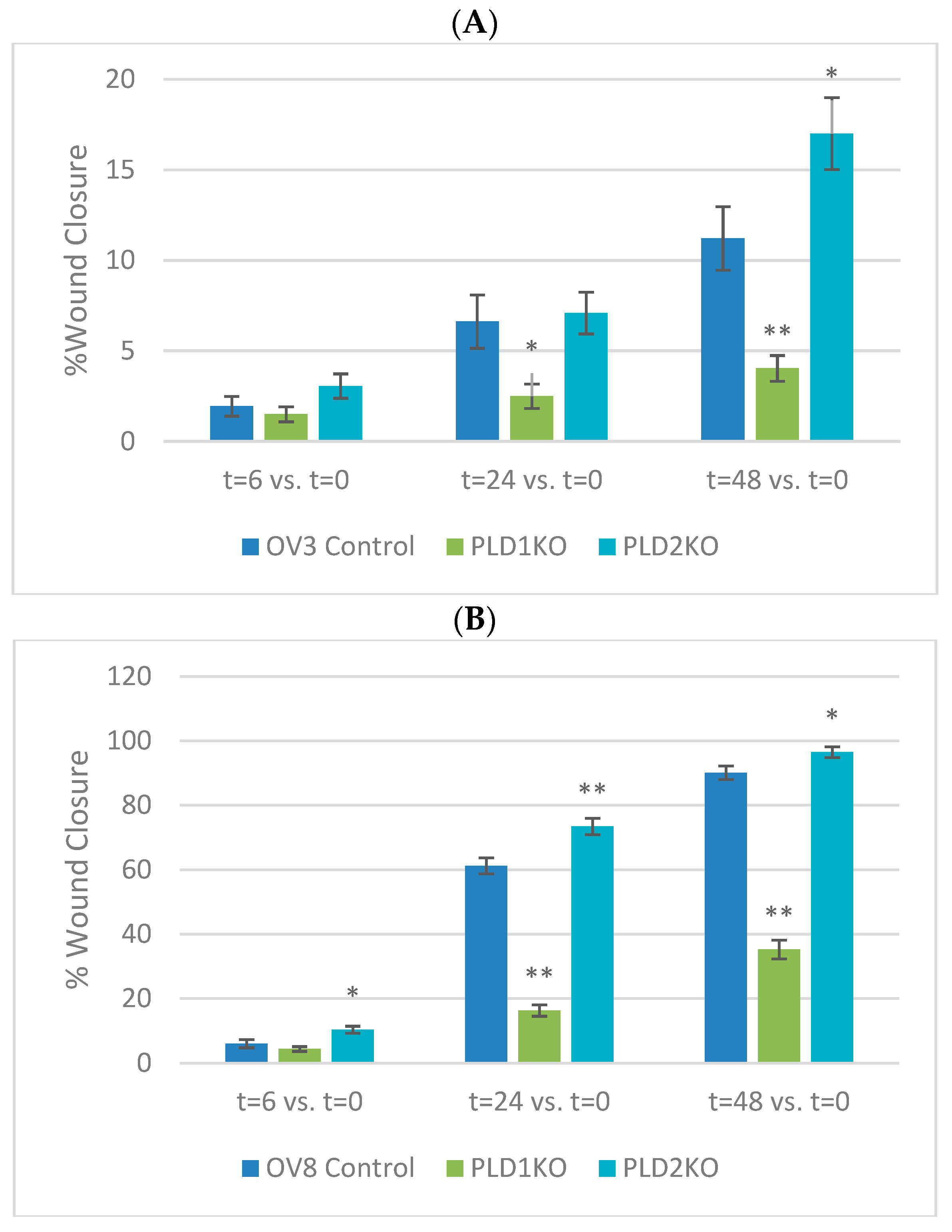 Ijms 23 13286 g003a Ijms 23 13286 g003a